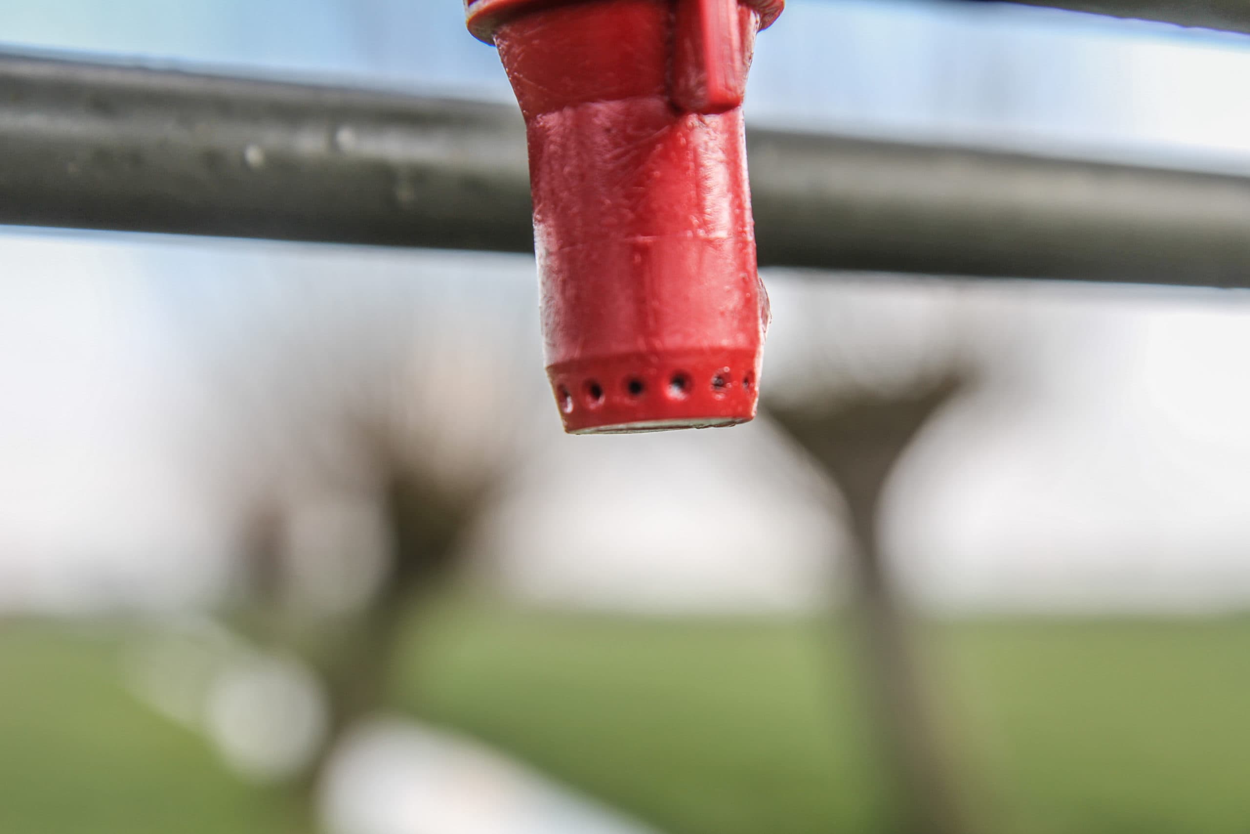 Foto: Matthijs Verhagen