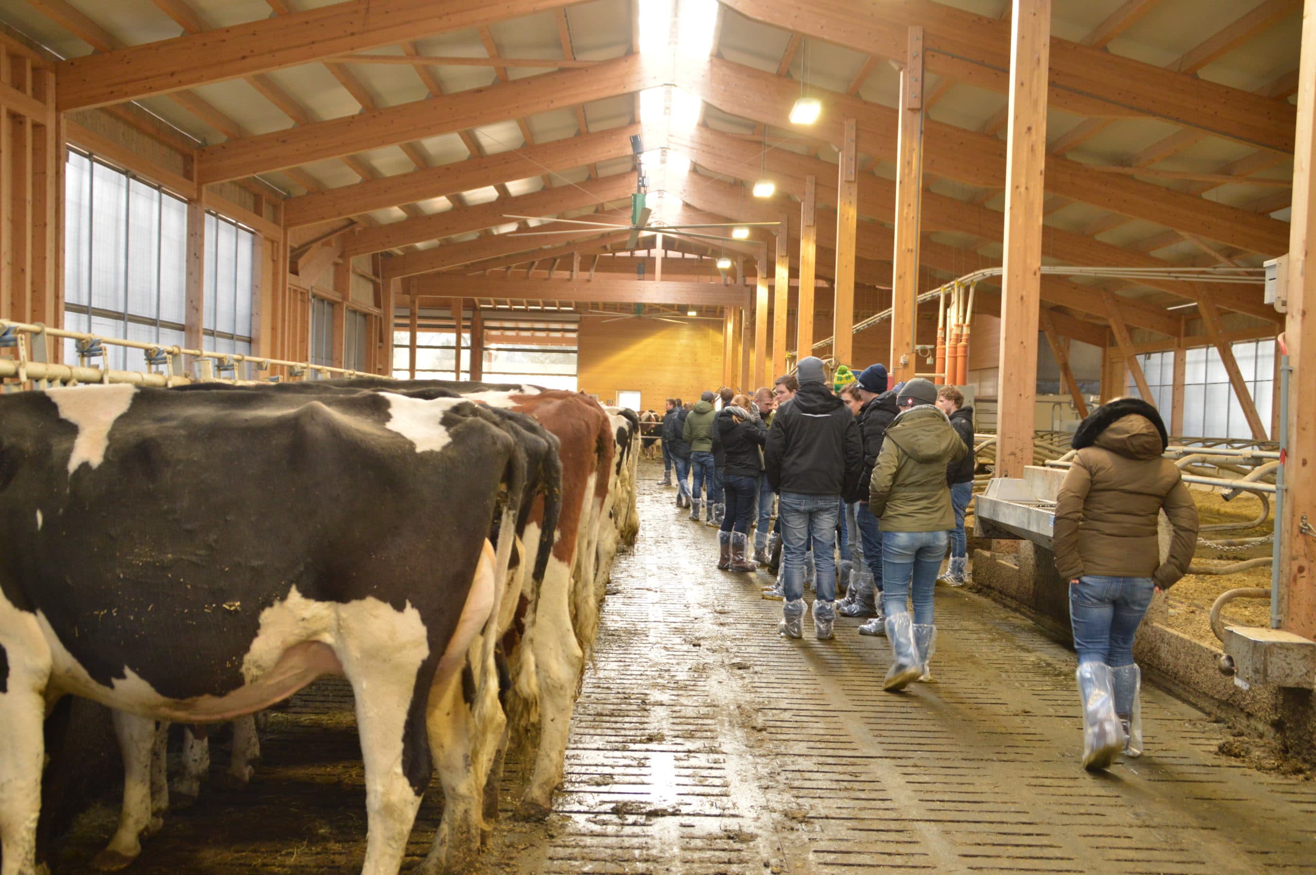 Foto: Fokkerijcommissie Dronten