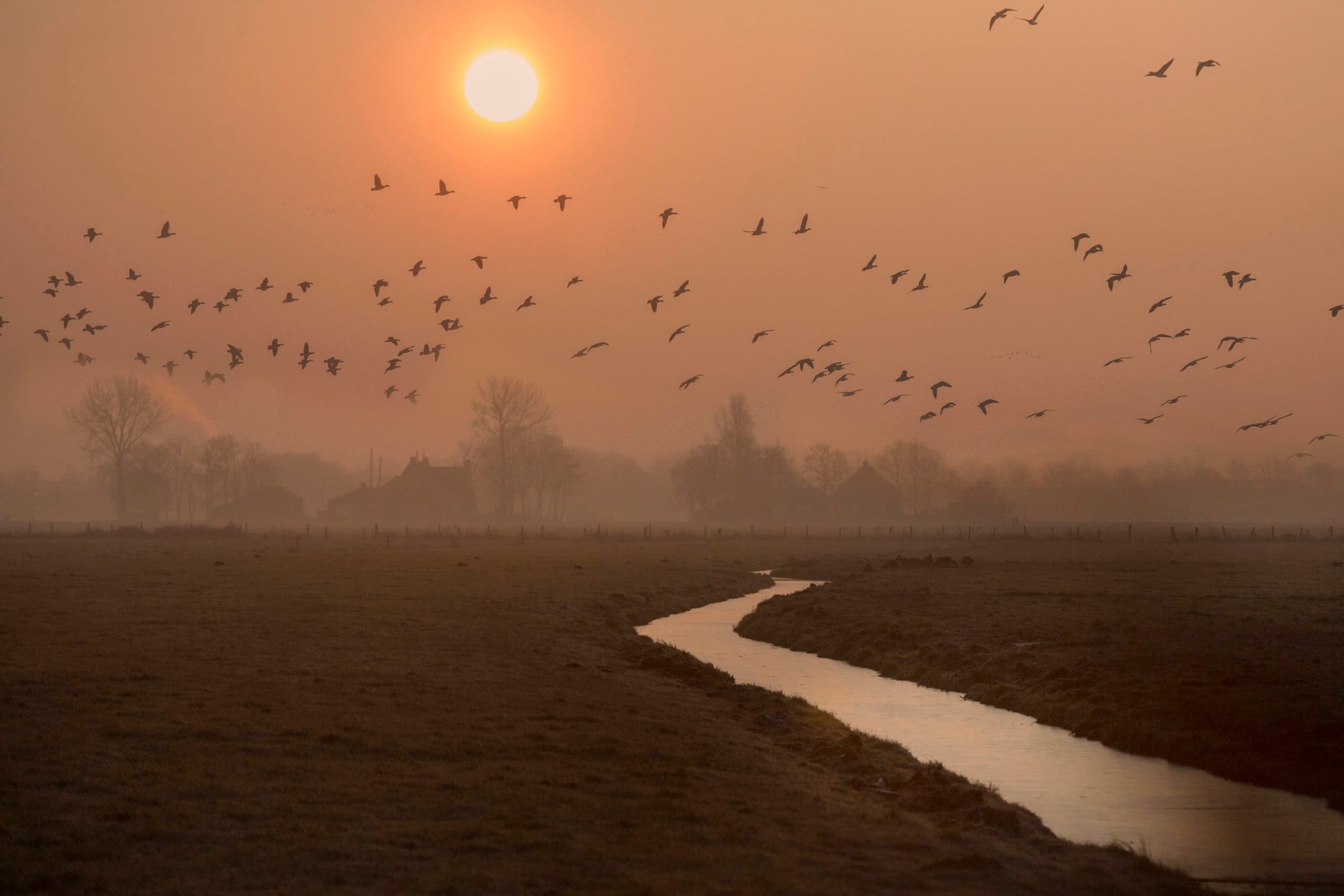 Foto: Koos Groenewold