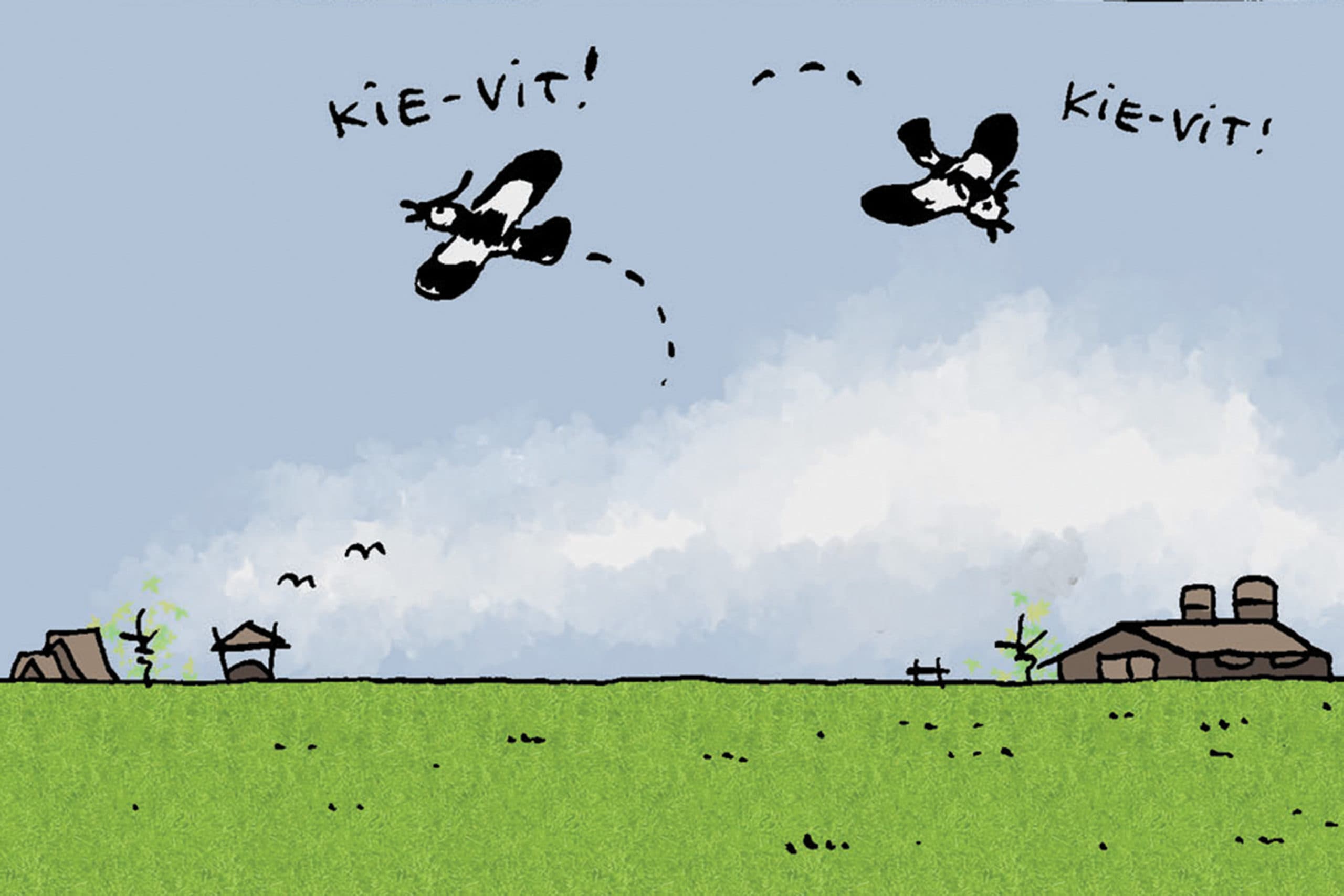 Tekst en tekeningen: Herman Roozen