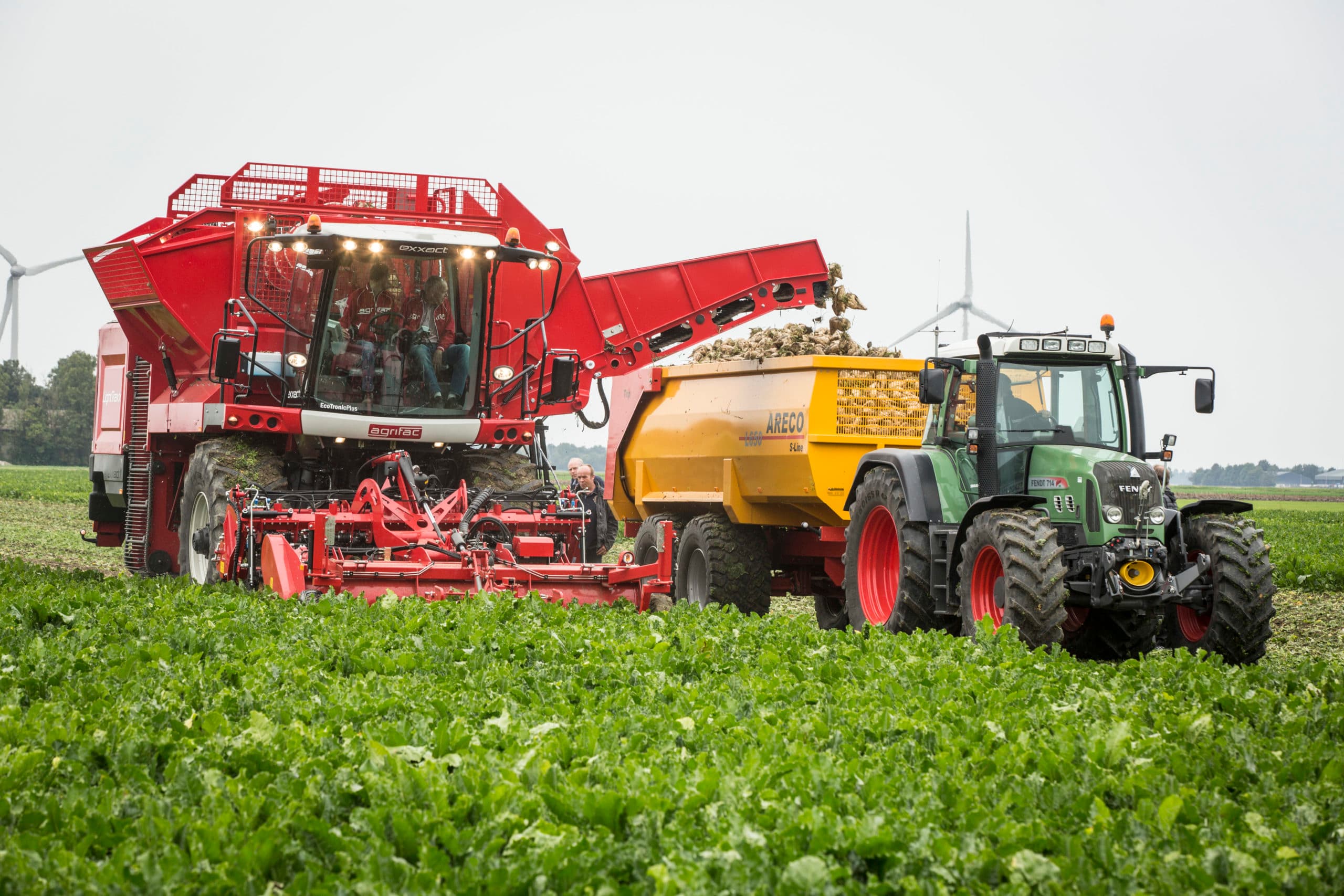 Foto: Koos Groenewold