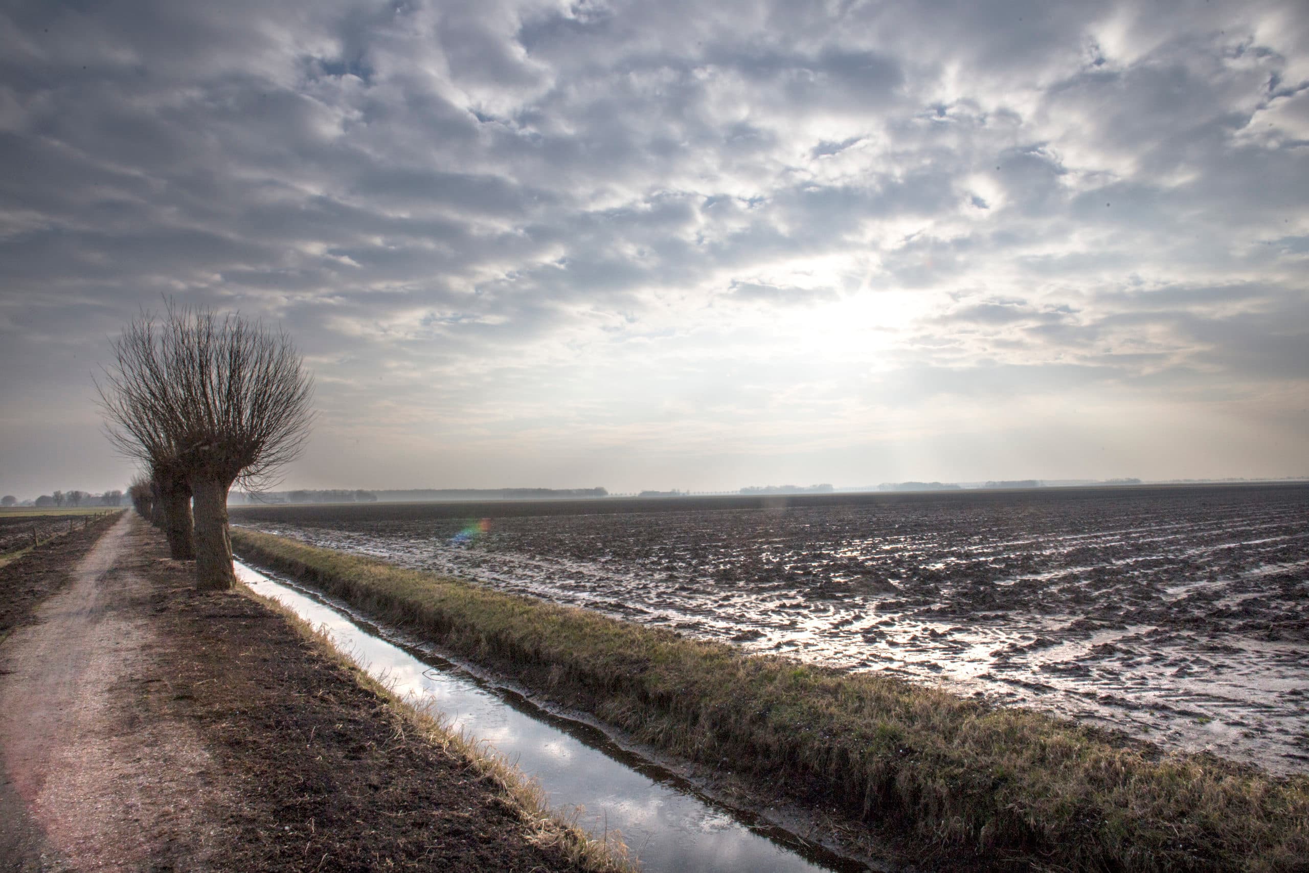 In het zuidwesten van de Noordoostpolder spelen bodemdaling en vernatting boeren parten. Ondanks de recente droogte is het er nog steeds erg nat.