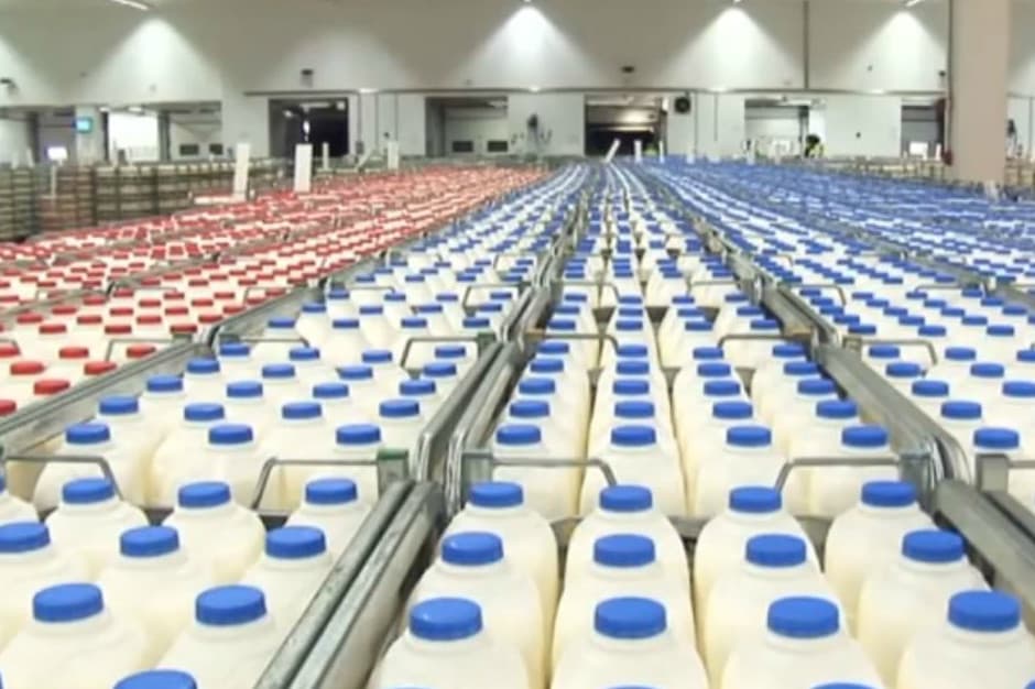 Foto: sreenshot bedrijfsfilm Arla op YouTube