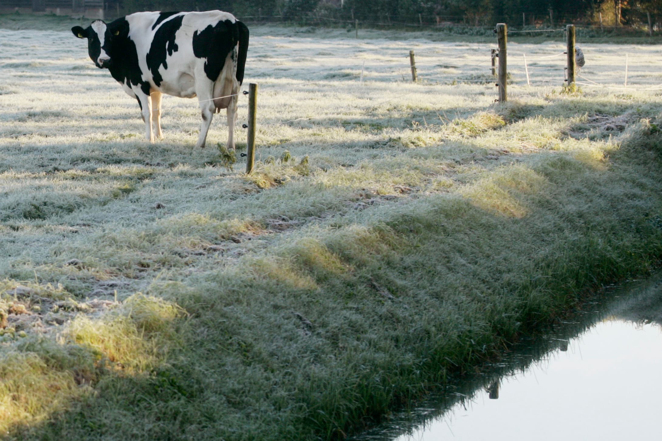 Foto: Koos Groenewold