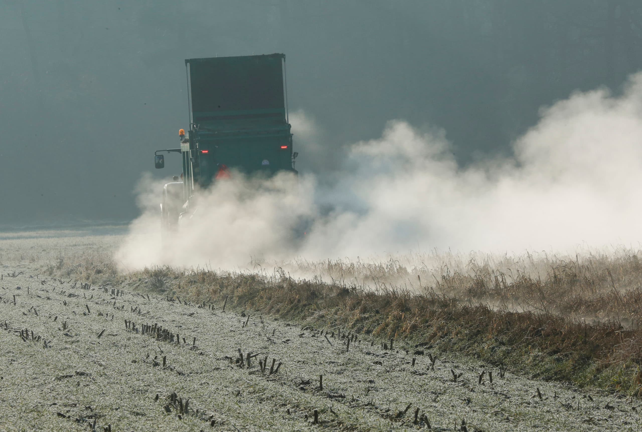 Foto: Henk Riswick