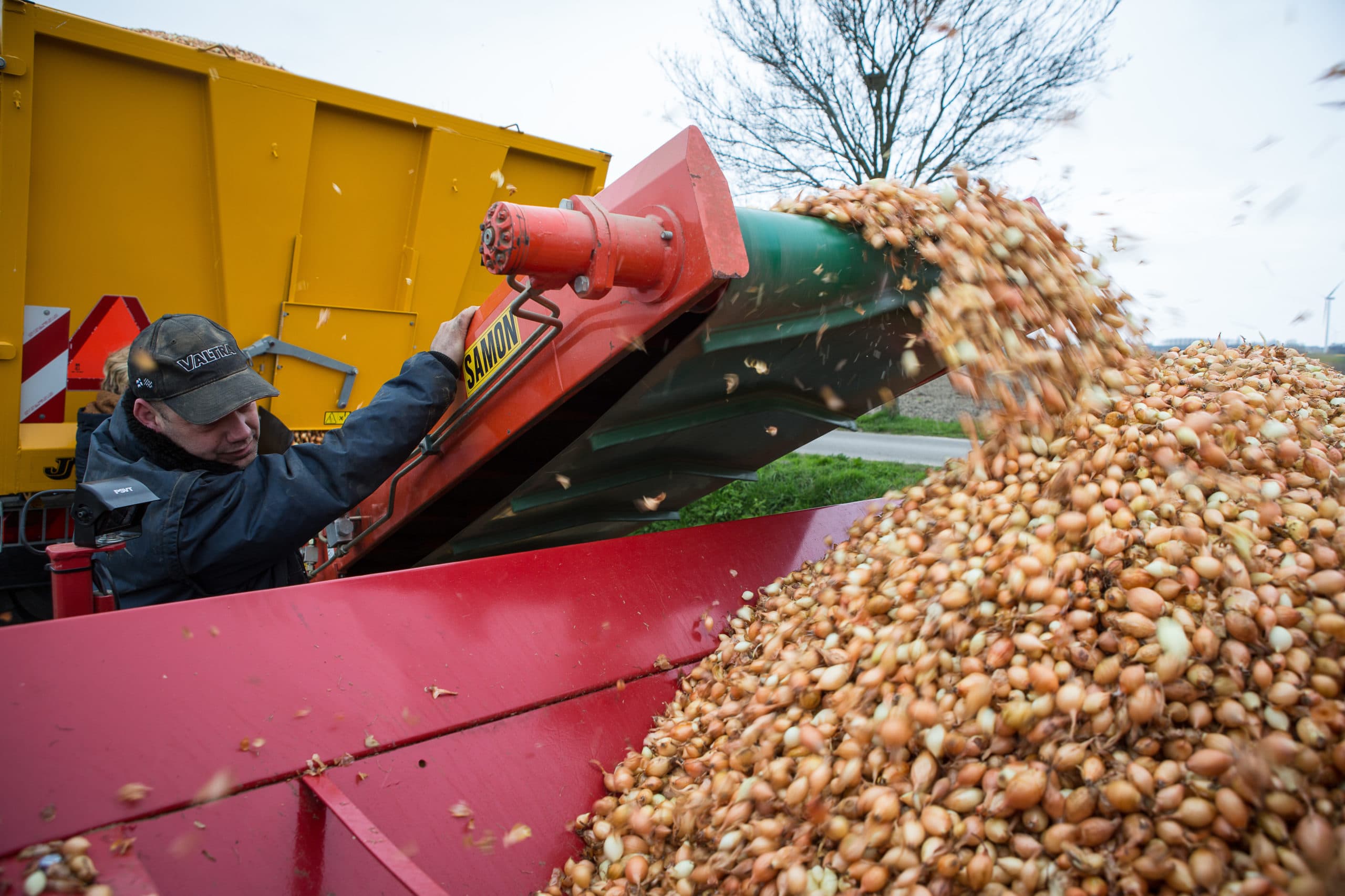 Uien planten in West-Brabant. Minder dan vroeger is het zeker dat in het voorjaar het juiste zaai- of plantgoed beschikbaar is. - Foto: Peter Roek