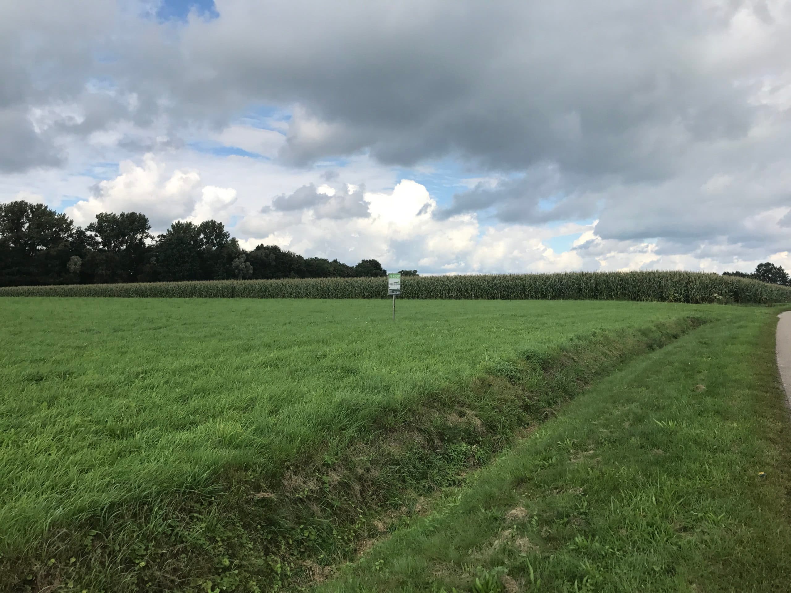 Foto: Boerderij