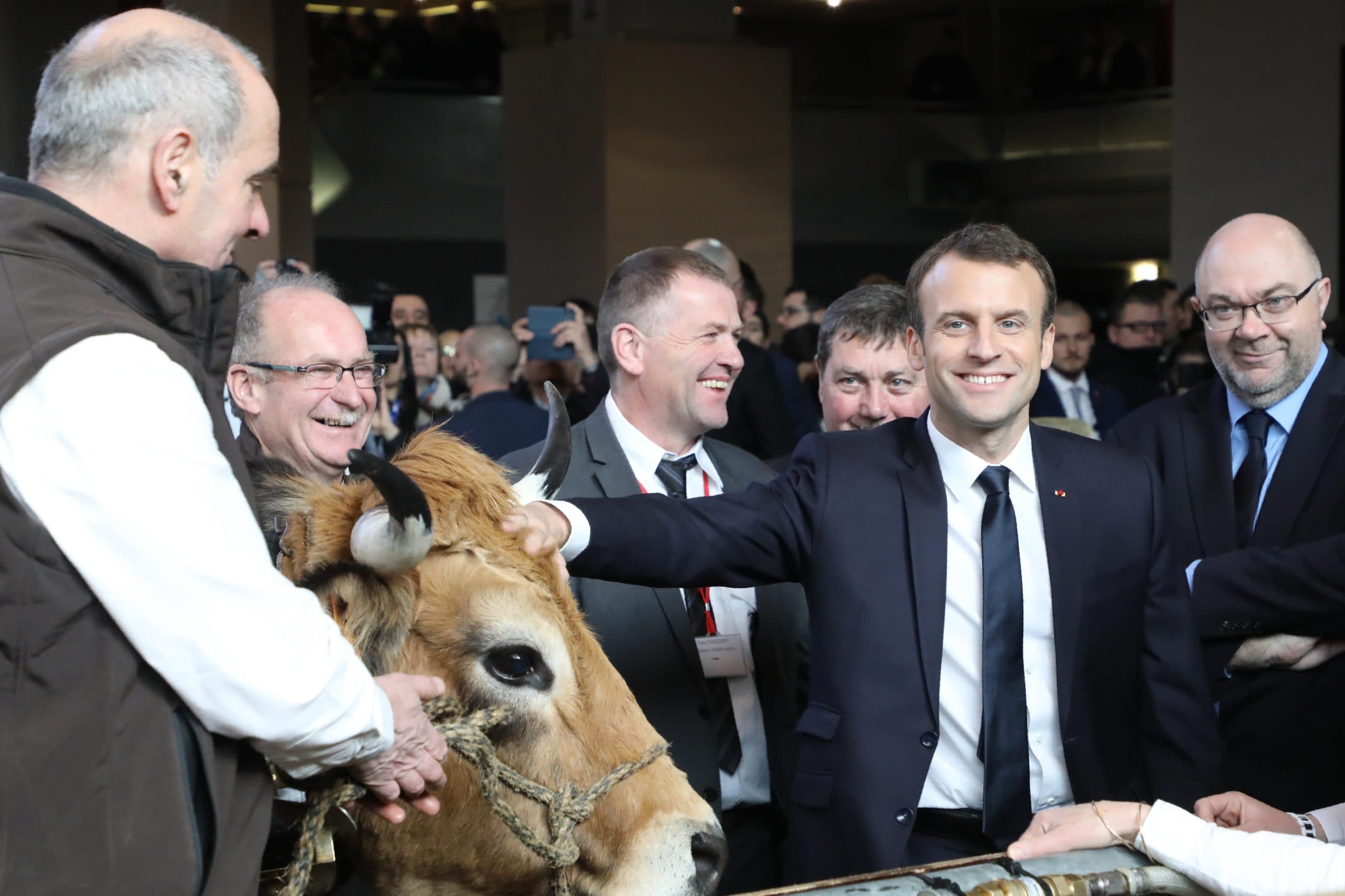 Foto: ANP/EPA