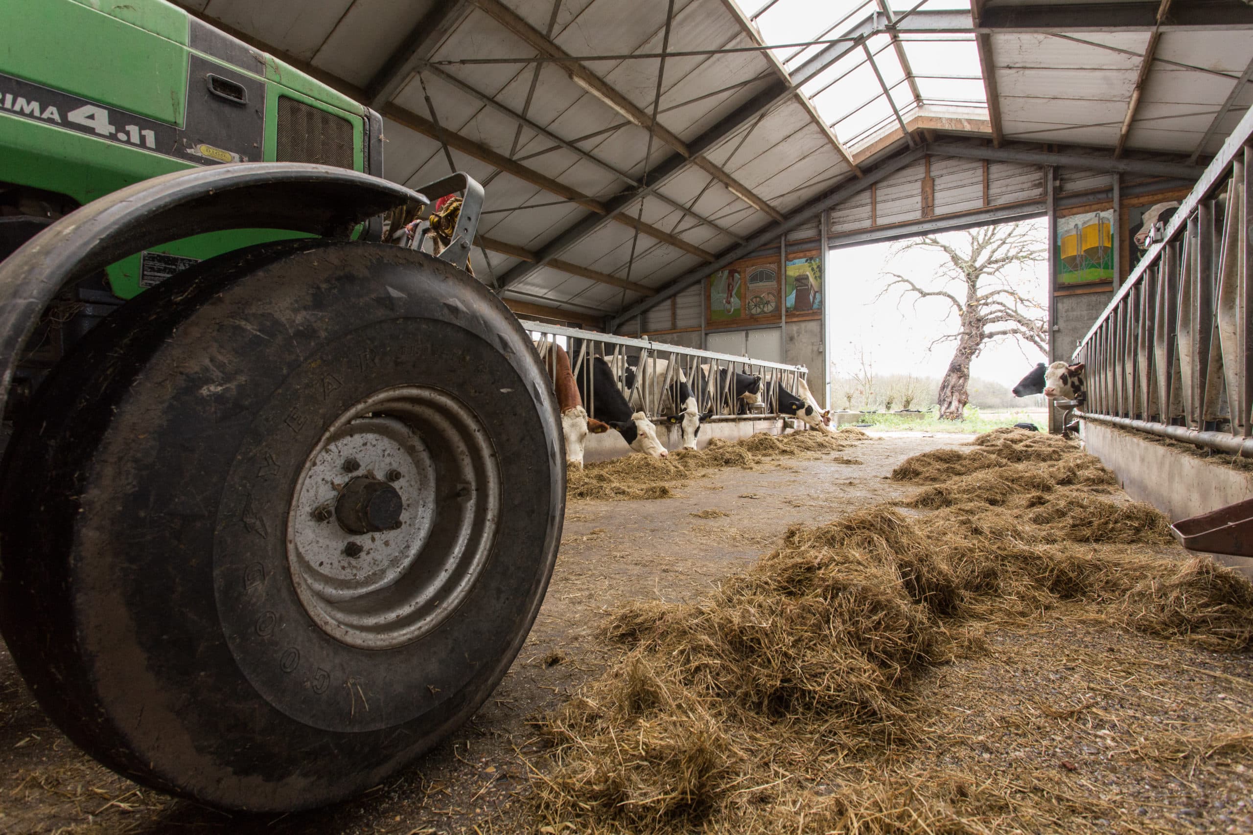 SCHIPLUIDEN-De komende tien jaar verdwijnen ruim 15.000 boerenbedrijven omdat er moeilijk een opvolger te vinden is. Dat meldt het CBS maandag. Vooral veel boeren en tuinders met een bedrijfsleider van 55 jaar of ouder hebben geen opvolger klaarstaan.NOVUM COPYRIGHT LAURENS VAN PUTTEN