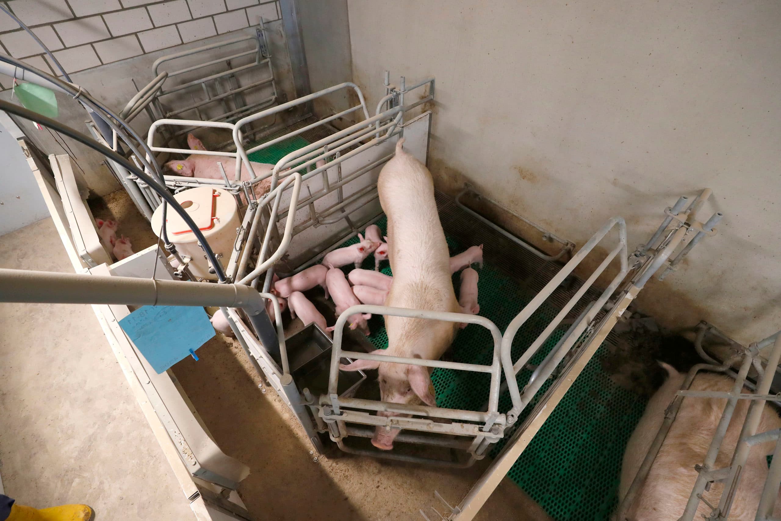 Foto: Bert Jansen