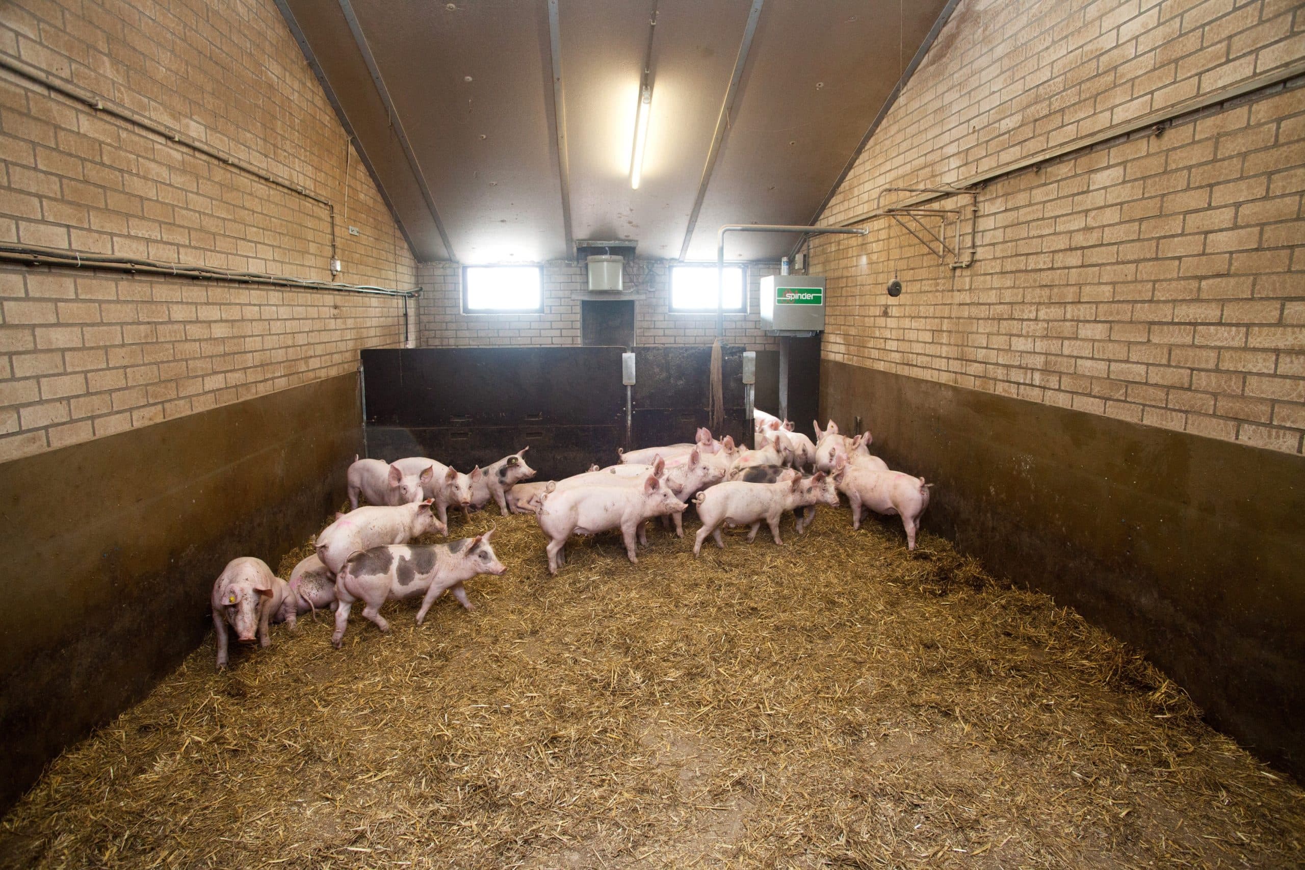 Foto: Herbert Wiggerman