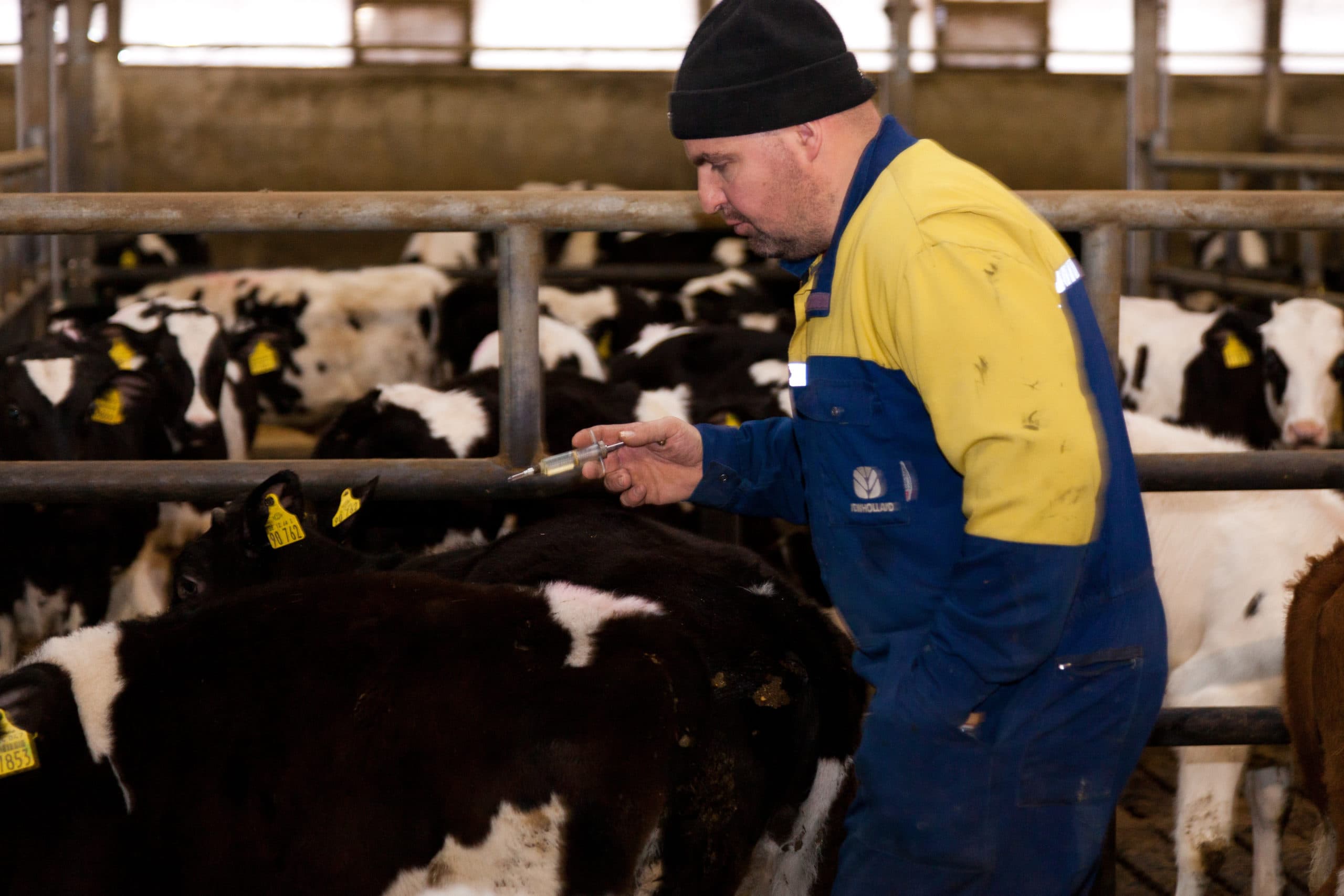 Foto: Joris Telders