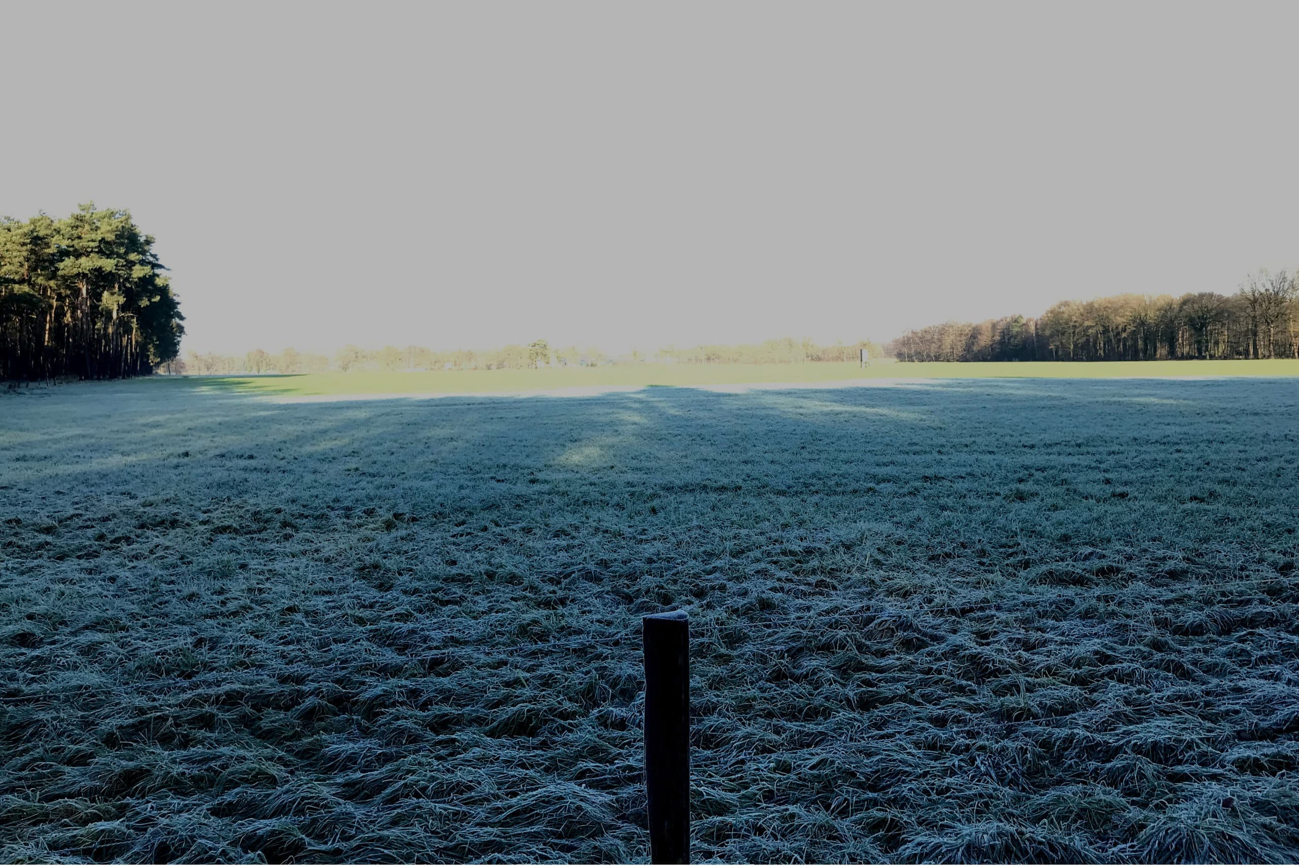 Grasland in Twente. - Foto: Martijn ter Horst