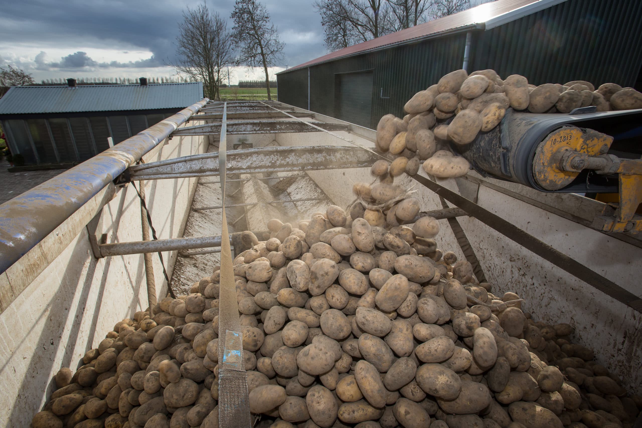 Foto: Peter Roek