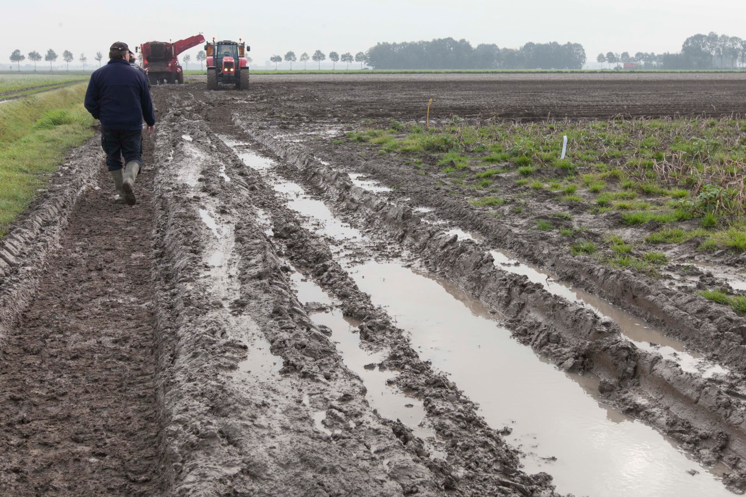Foto: Koos Groenewold