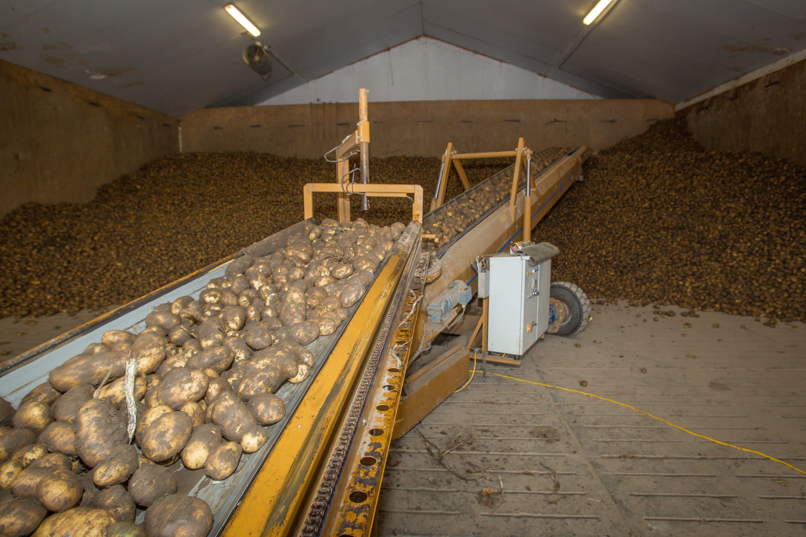 Foto: Peter Roek