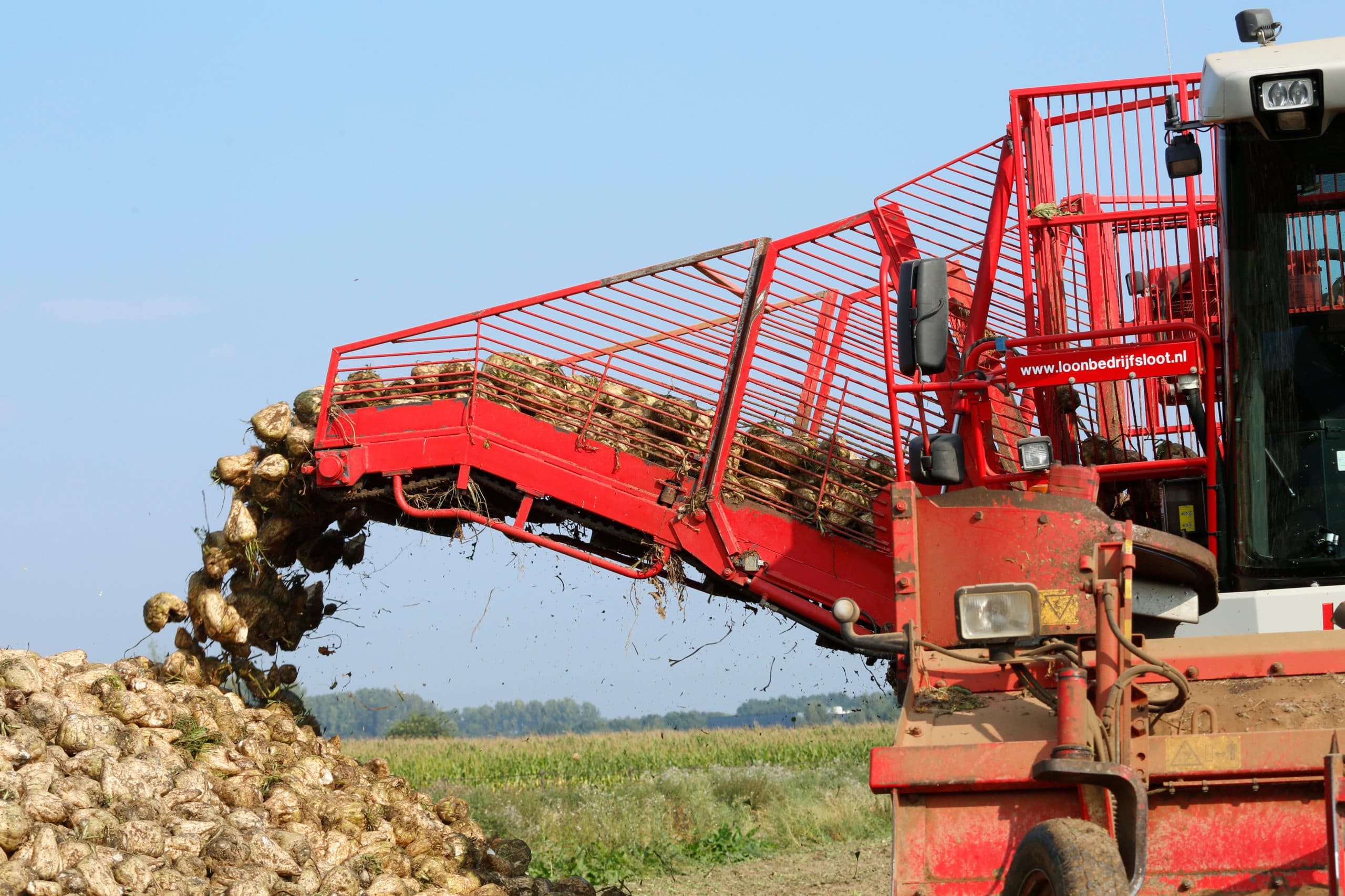 Foto: Henk Riswick