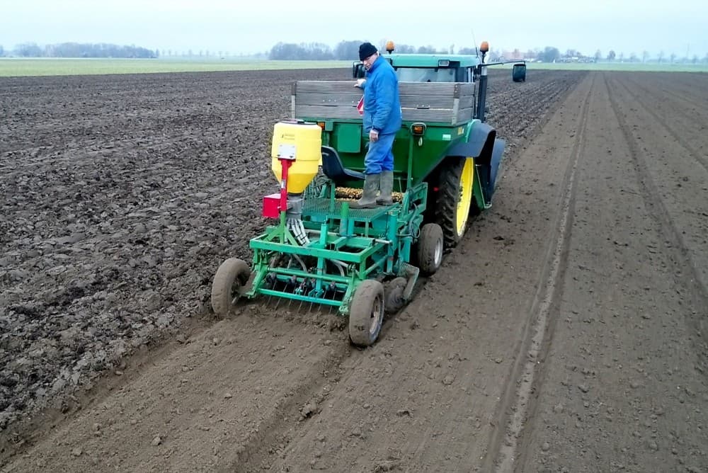 Na het planten blijft de grond enigszins kluiterig liggen.