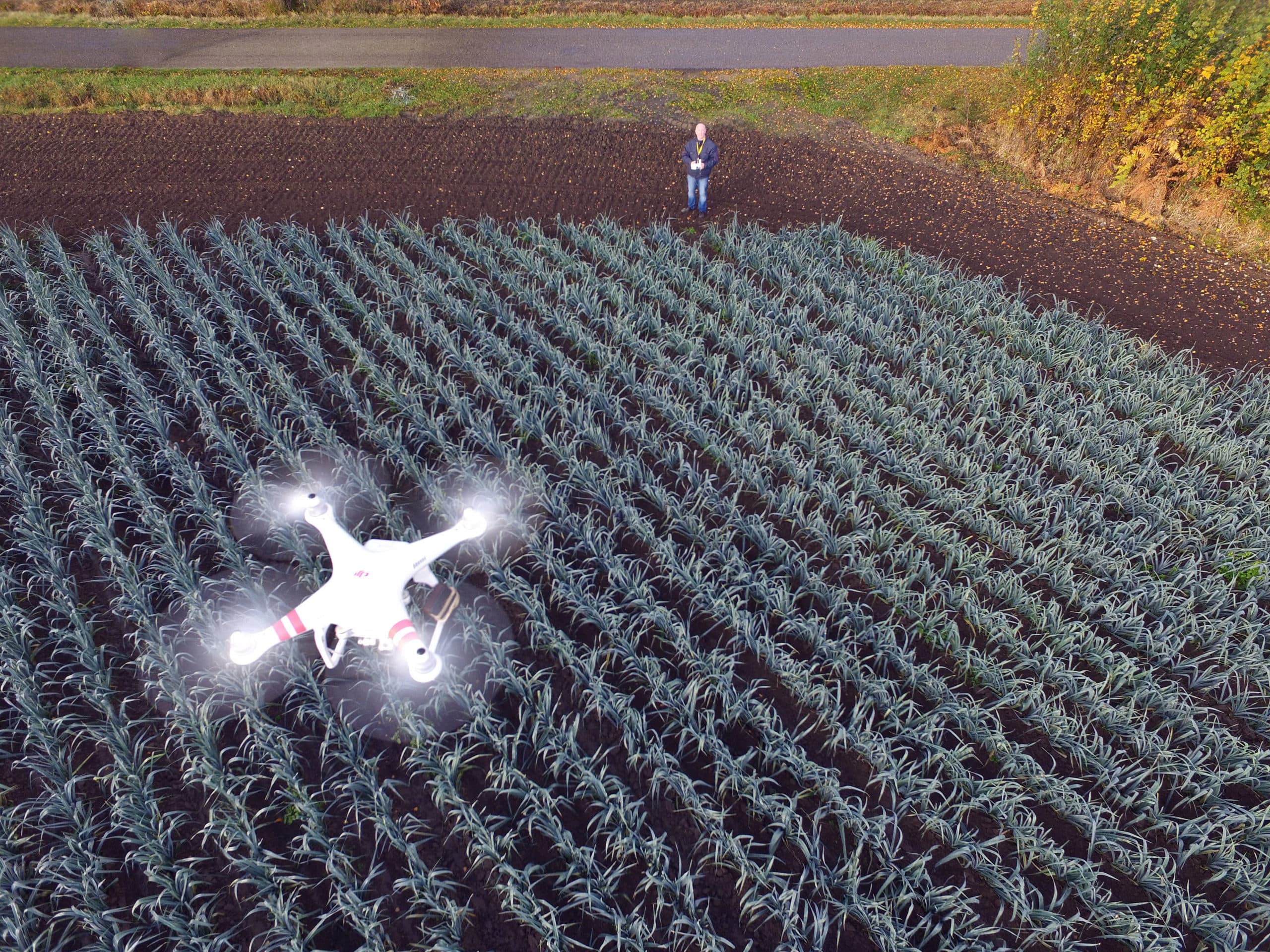 Informatie van drones en sensoren kunnen satellietbeelden aanvullen, zegt Tamme van der Wal. - Foto: Bert Jansen