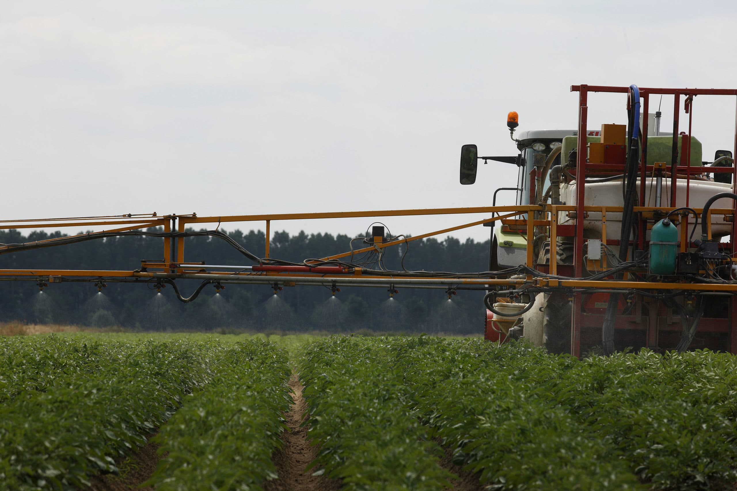 Hoe groter het areaal, des te hoger de vergoeding. - Foto: Hans Prinsen