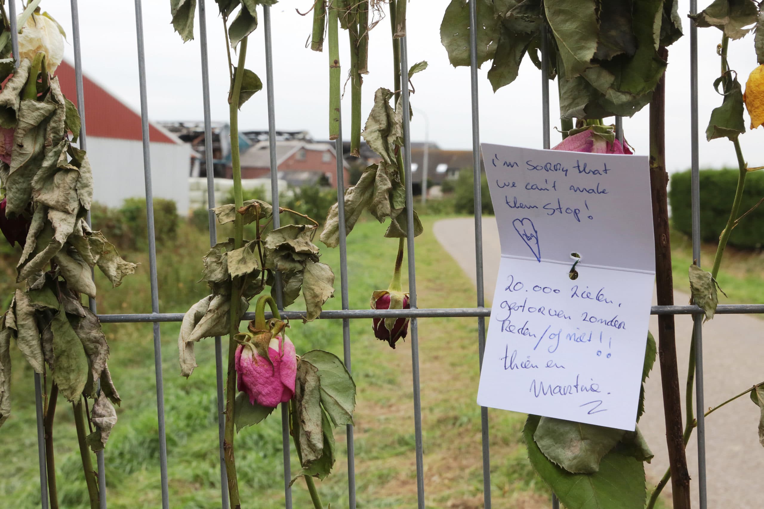 Foto: Ton Kastermans