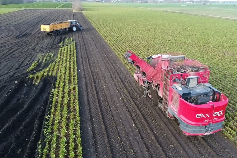 Van boven zijn de sporen nog goed zichtbaar. Voor het afvoeren van de bieten van het lange perceel zijn 3 kippers ingezet.