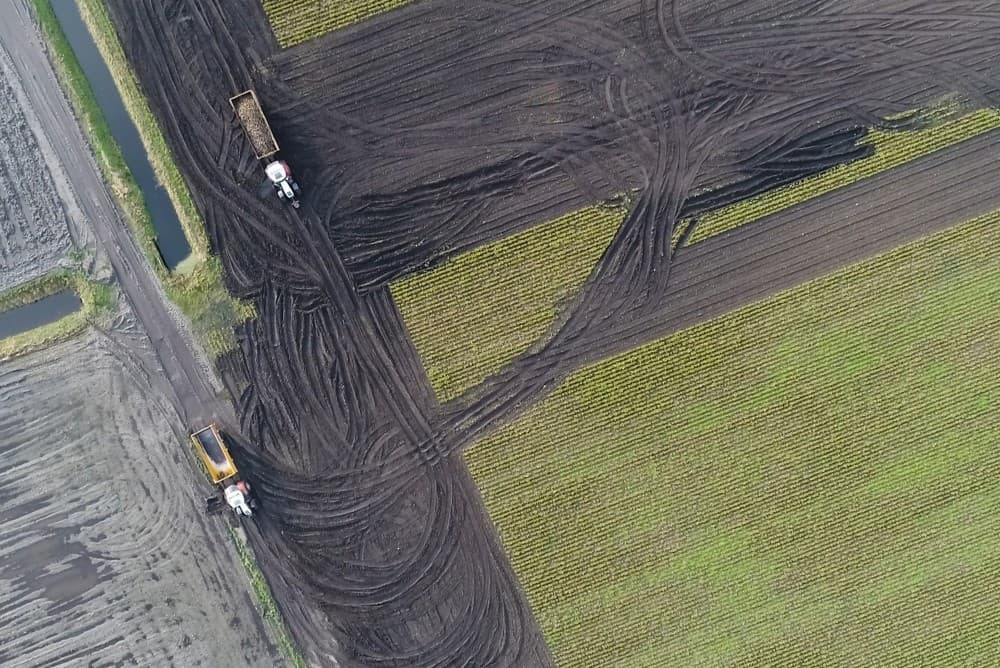 Met de relatief lichte Agrifac Optitraxx bietenrooier is het rooien goed te doen. De rooier heeft een bunkerinhoud van 18,5 m3 en loopt op rupsen en 2 achterbanden, die tussen de sporen van de rups lopen.