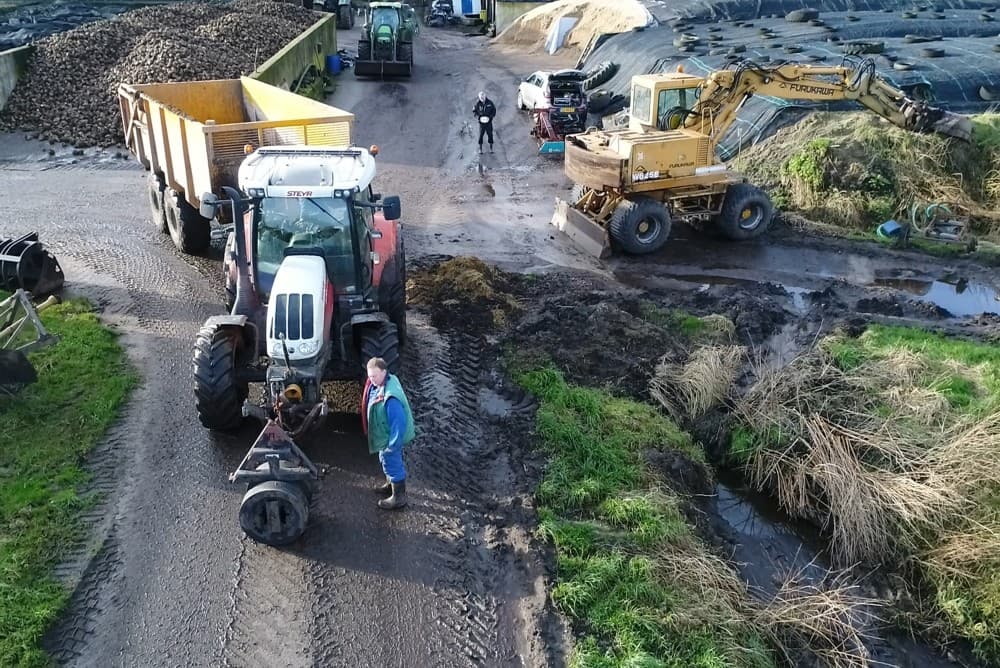 De 8,5 hectare bestaat uit een kort en een lang perceel van bijna 1.000 meter. De natte plekken zijn na het rooien nog goed te herkennen.