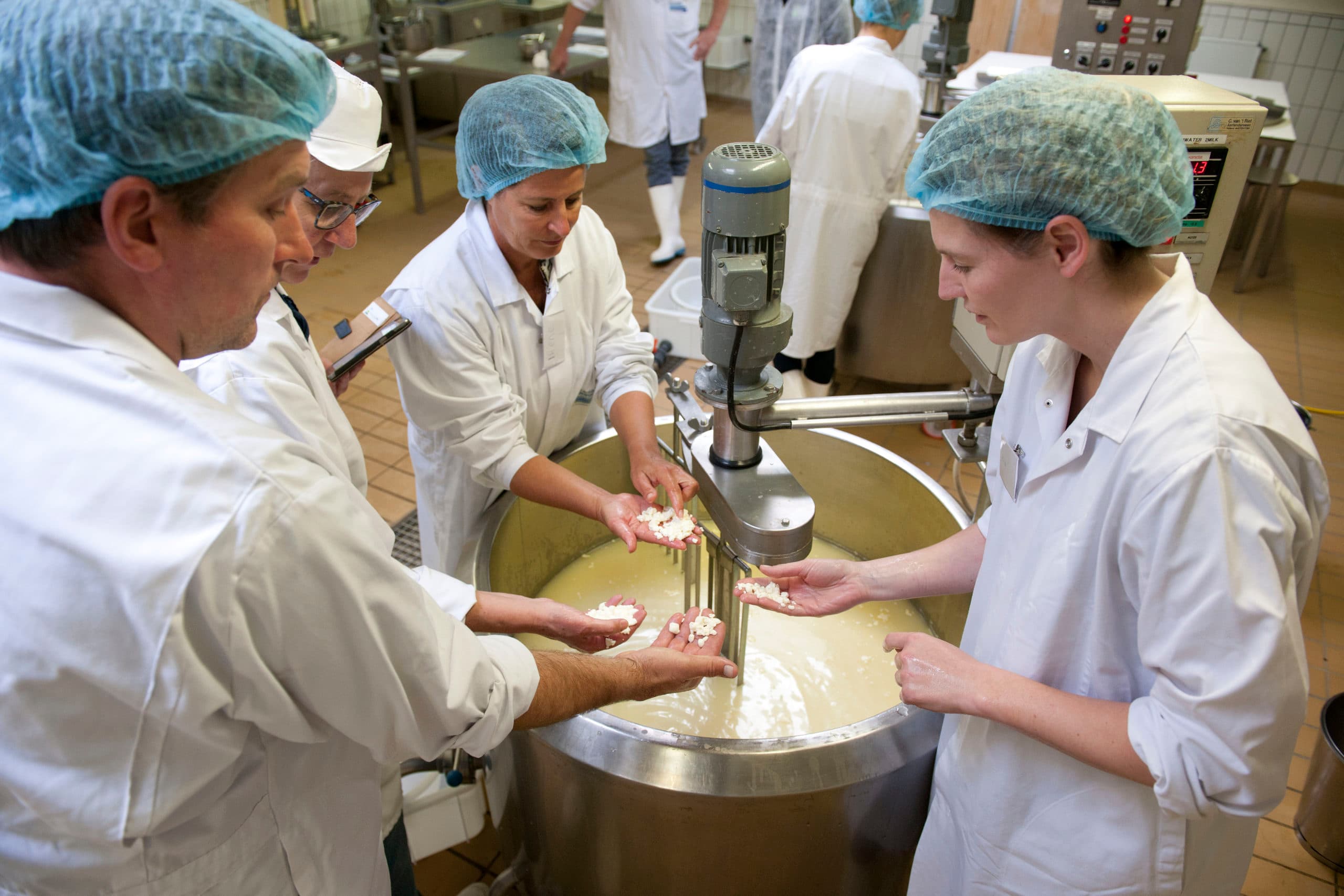Boerenkaas maken op Dairy Training Centre - Foto: Mark Pasveer