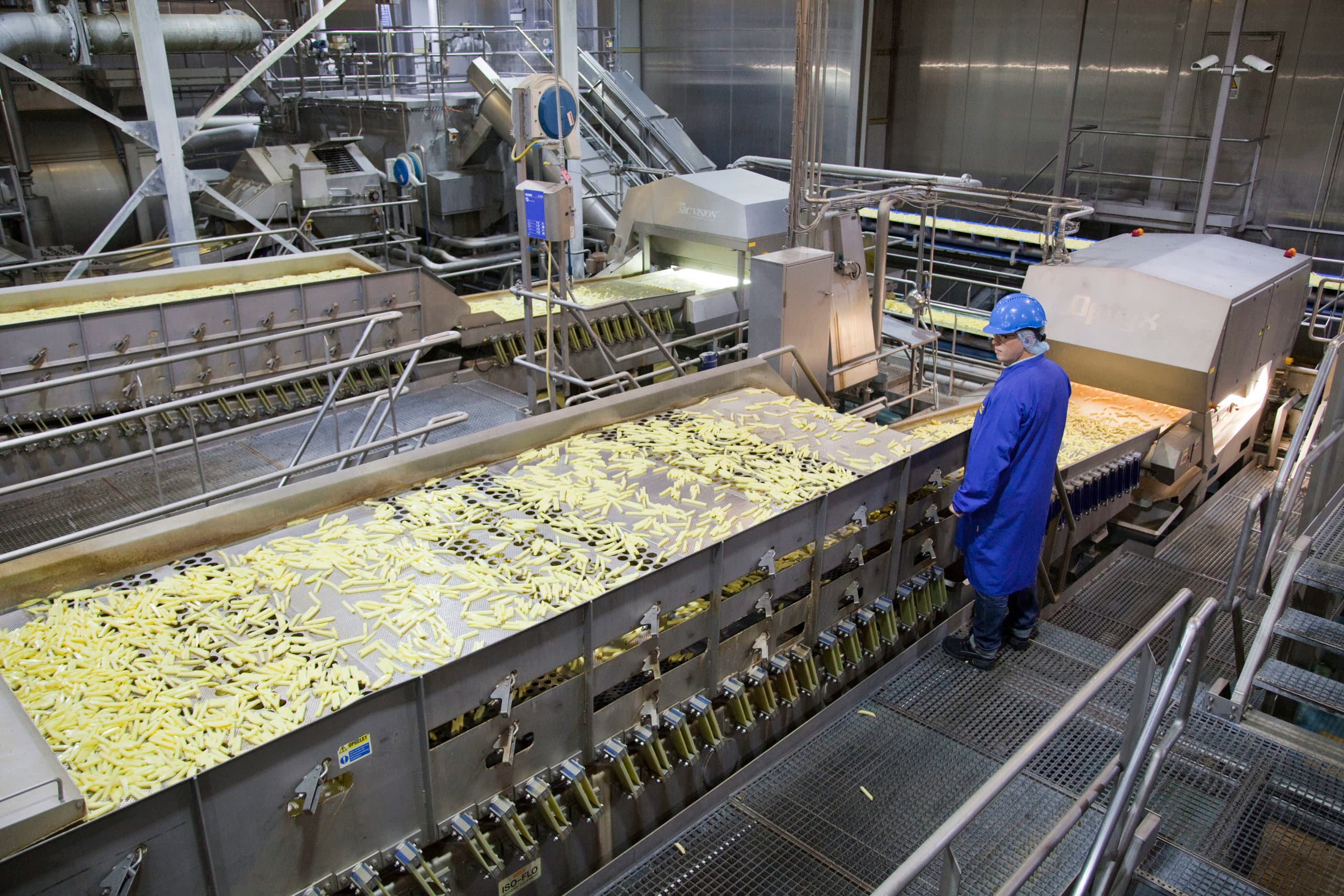 Fritesverwerking bij Aviko. Nederland is na België de grootste producent van diepgevroren aardappelproducten. - Foto: Jan Willem Schouten