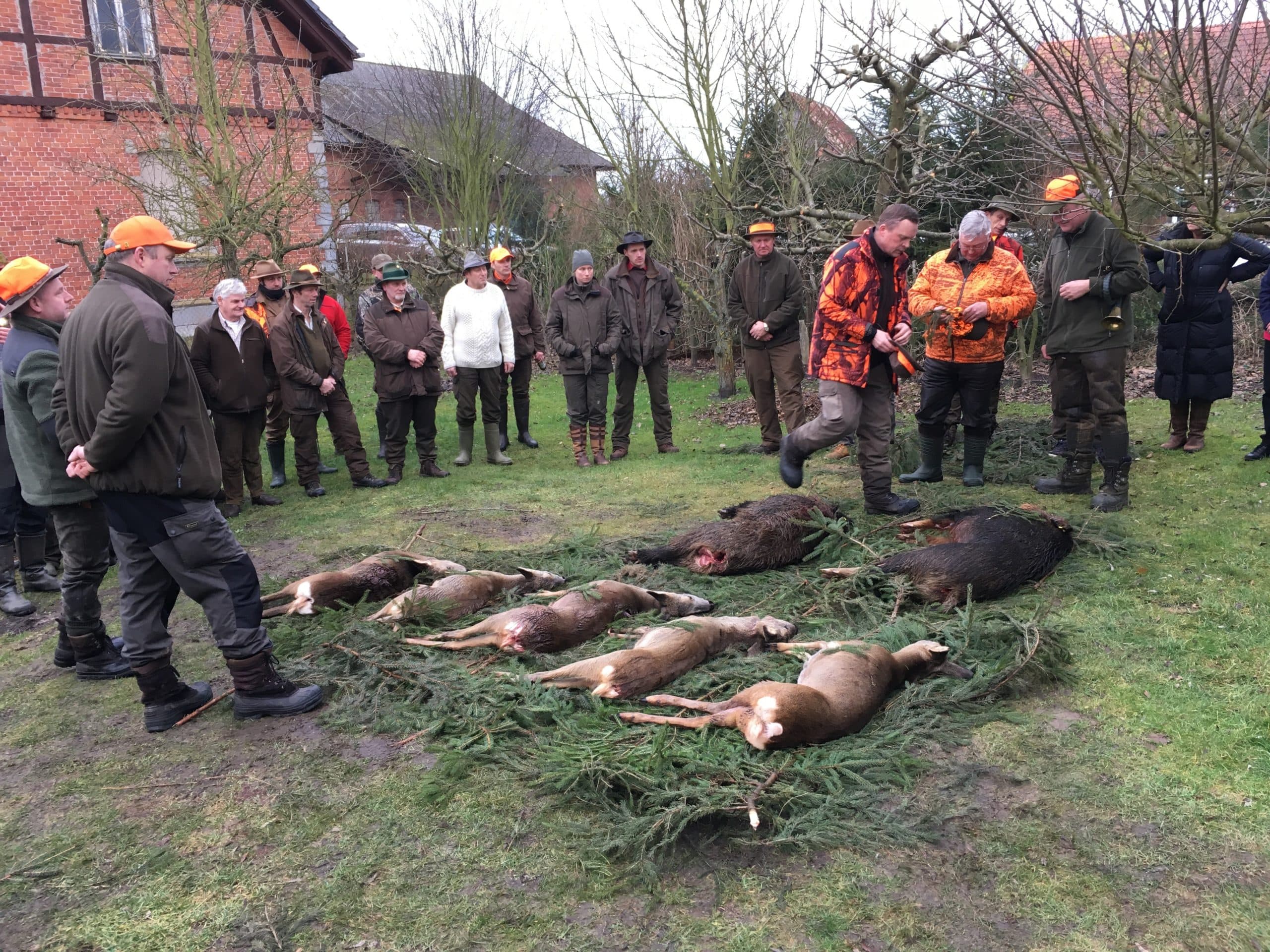 Buit van een jachtpartij in de buurt van Dannenberg (D.). De jagers hebben 2 wilde zwijnen geschoten. - Foto: Andreas Beckhove