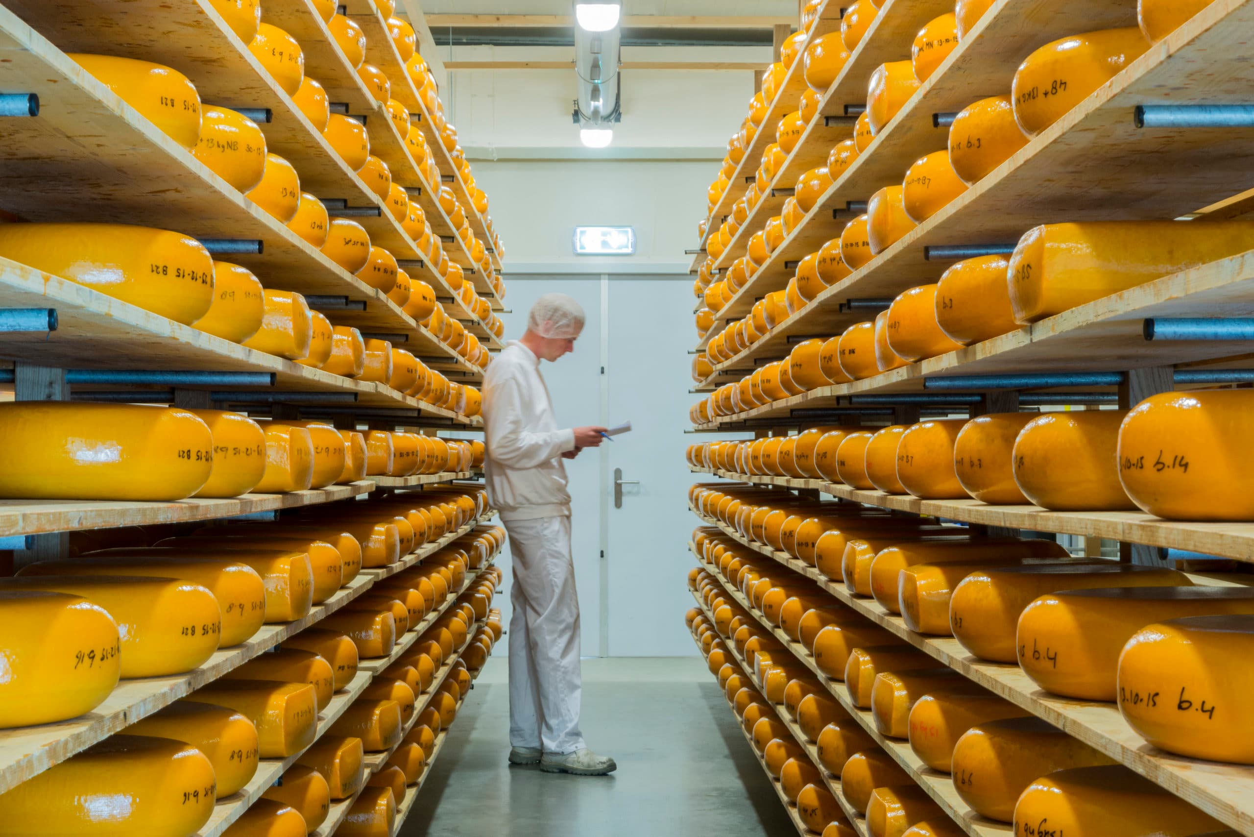 Producten als kaas zijn door afschaffing van de melkquota in opbrengstprijs gedaald. Robert Schorsij pleit voor maatregelen rond de melkproductie, zoals een eenmalige heffing voor verwerkers, om vraag en aanbod weer in balans te krijgen.