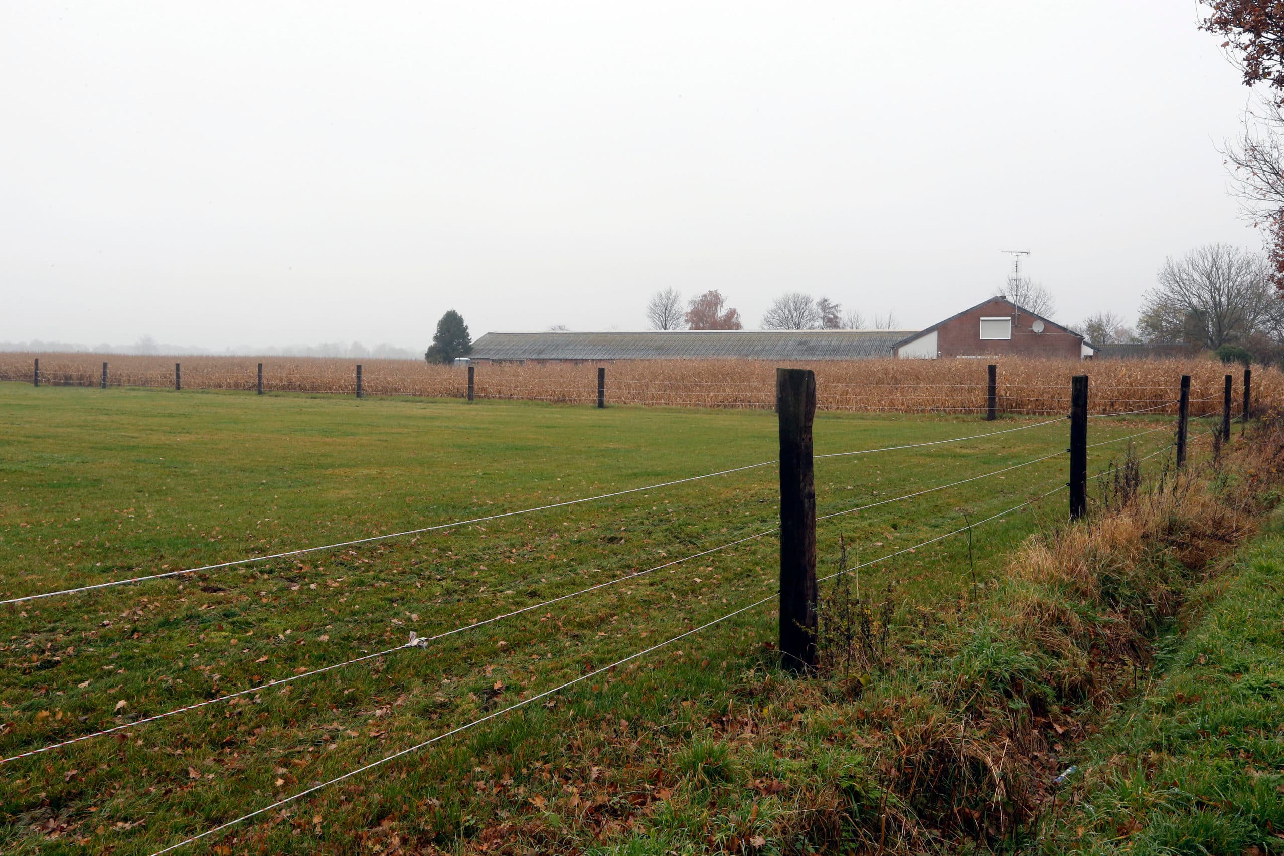 Foto: Bert Jansen