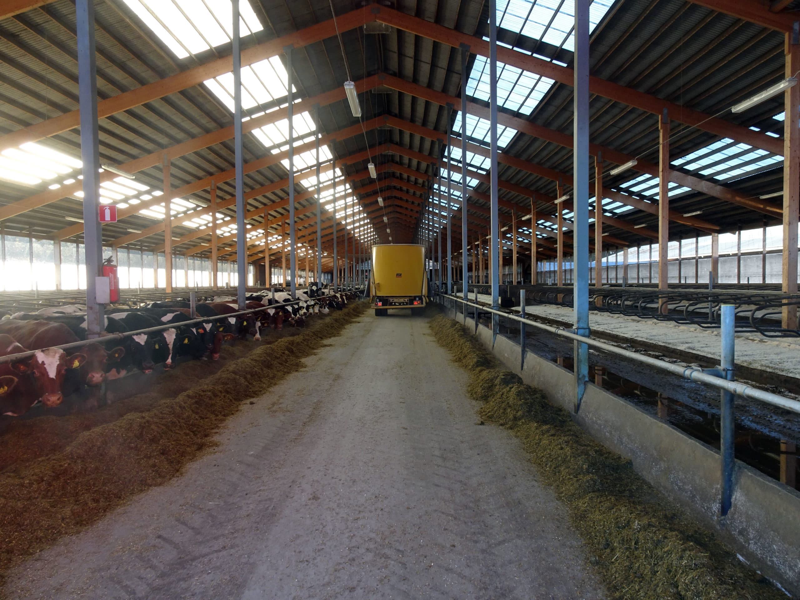 Foto: Theo Brumelaar