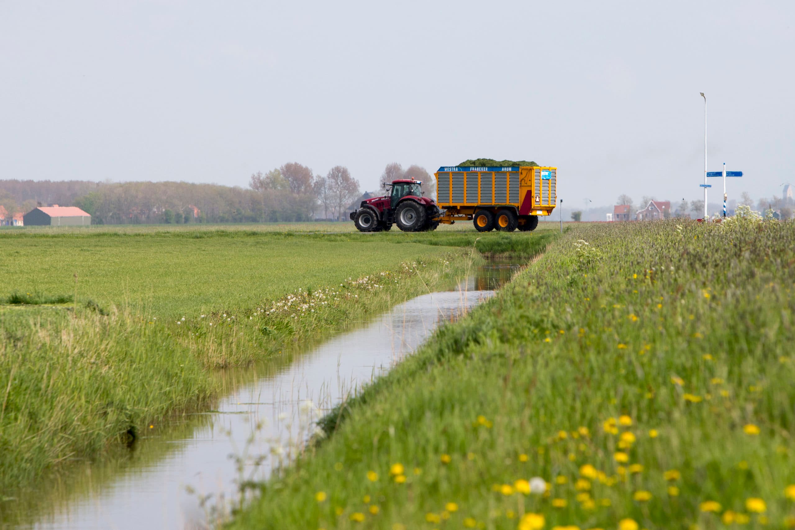 Foto: Anne van der Woude
