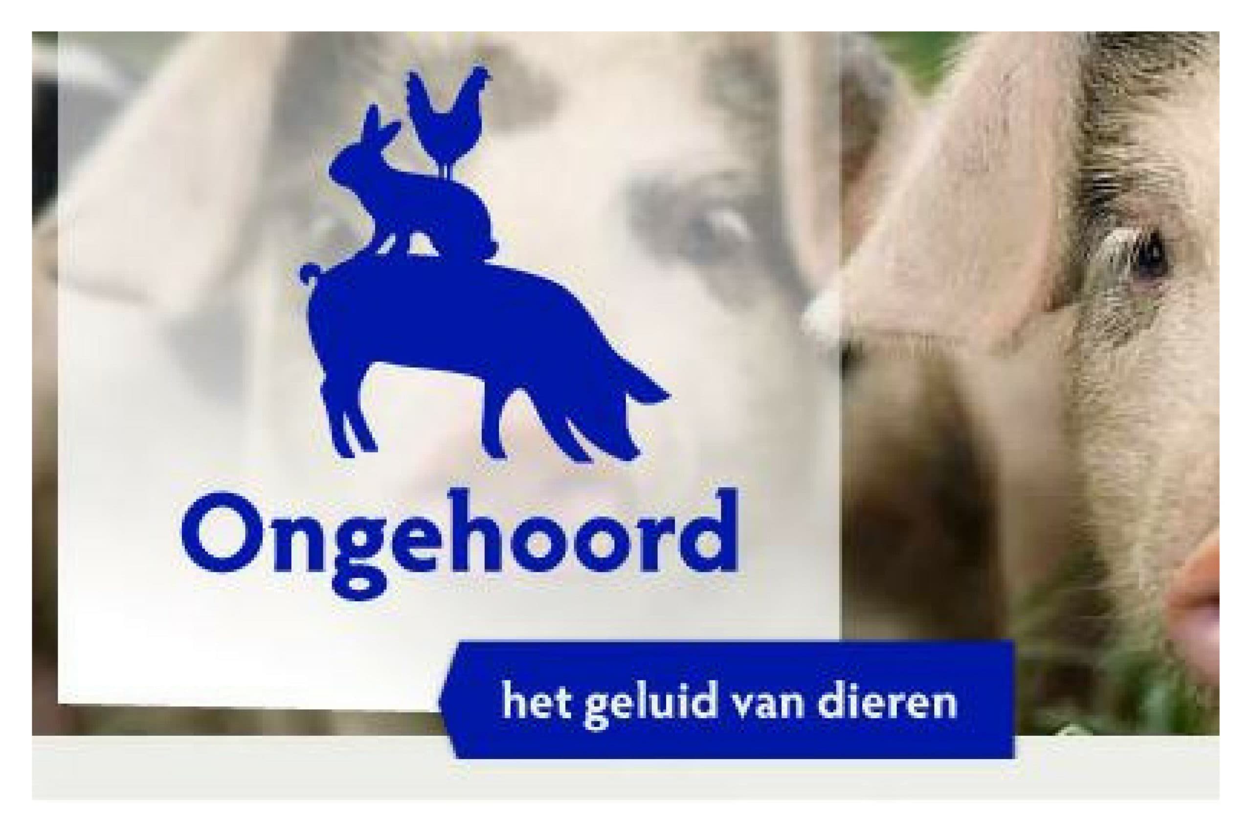 Afbeelding: www.ongehoord.info