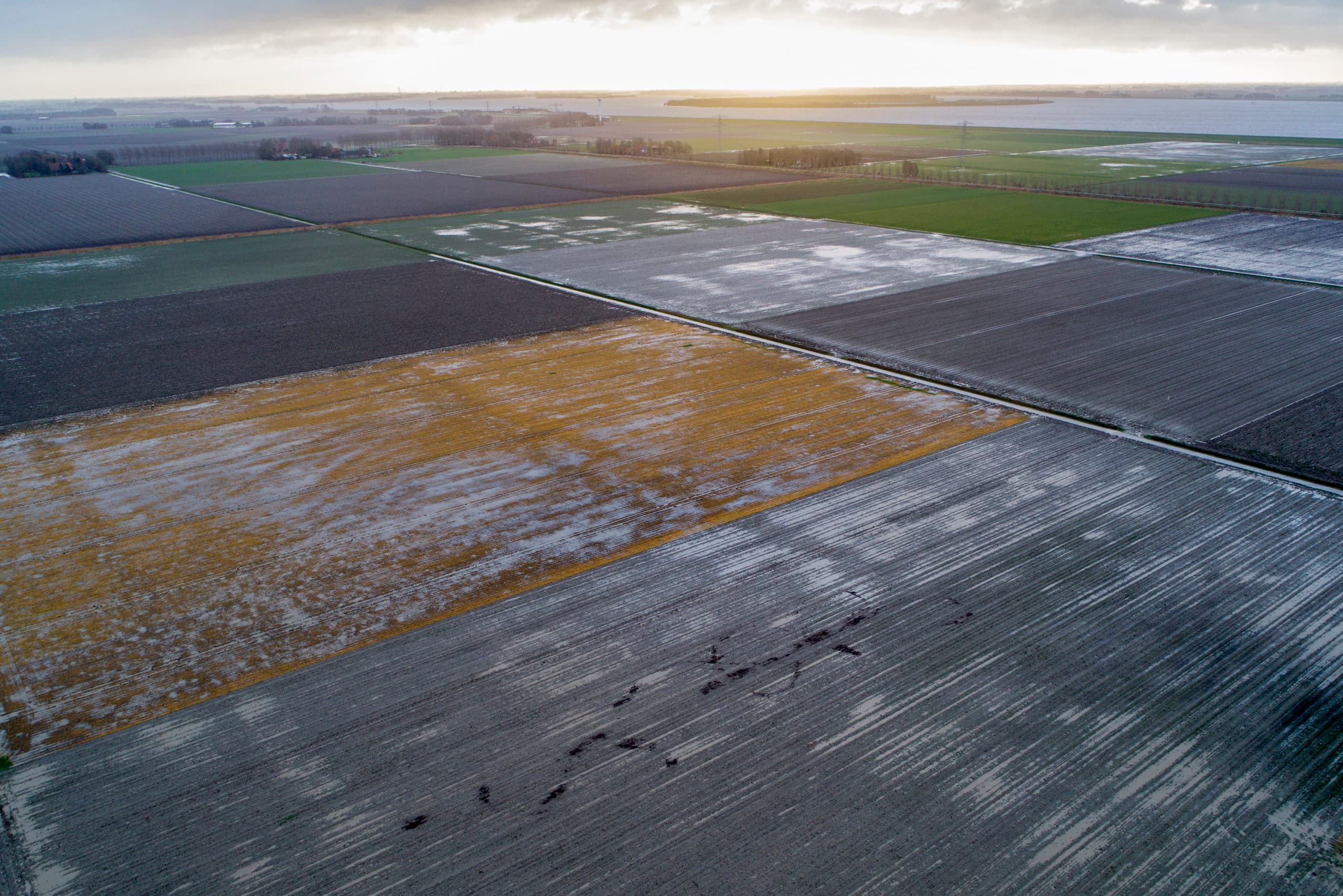 Foto: Sytze Bakker