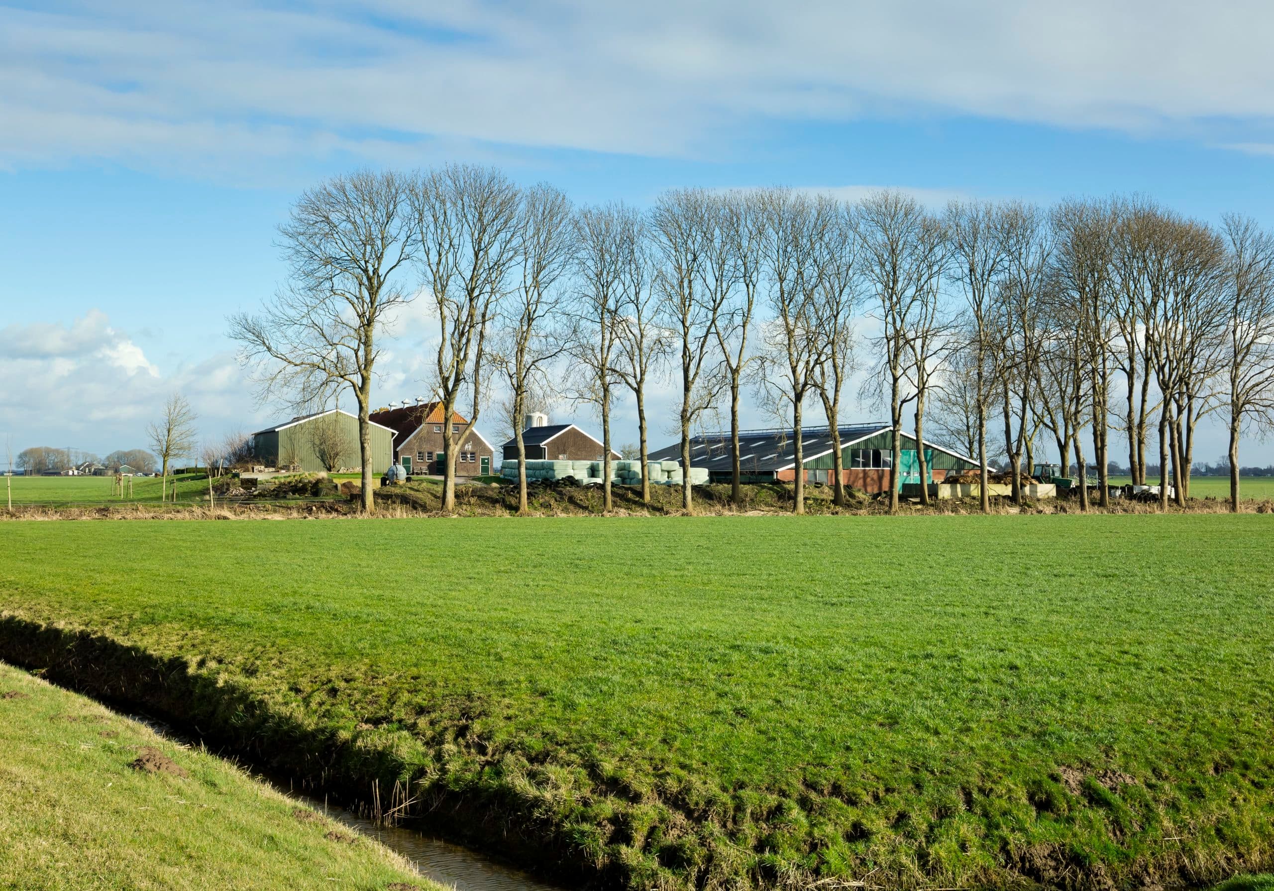 Niet dezelfde fouten maken als bij melkquotum