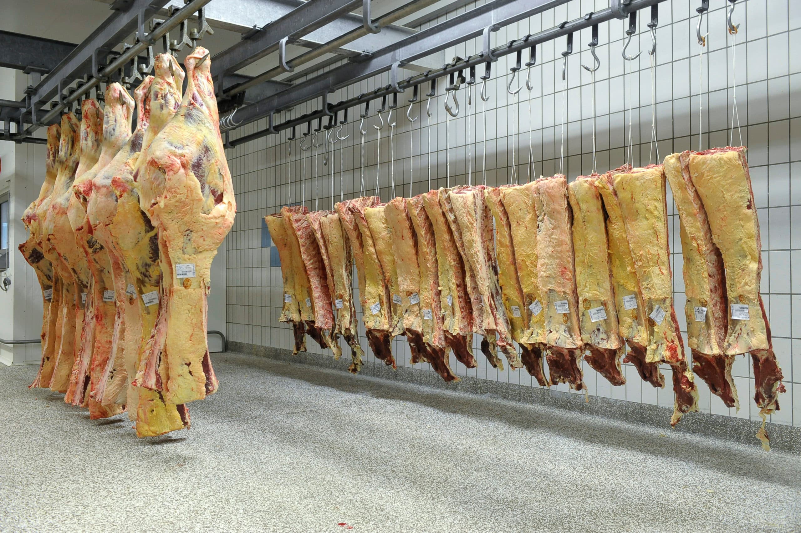 Foto: Fotopersburo Dijkstra bv