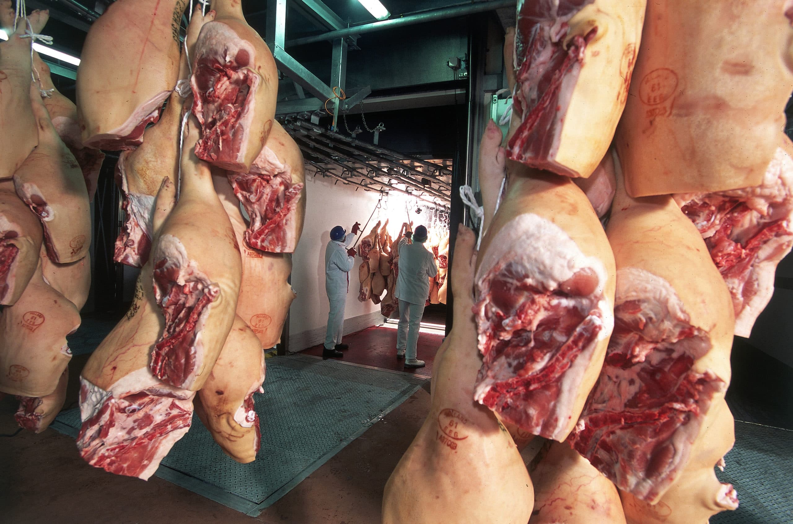 De export van (varkens)hammen naar Italië heeft door de MPA-affaire een flinke klap gekregen. - Foto: Mark Pasveer