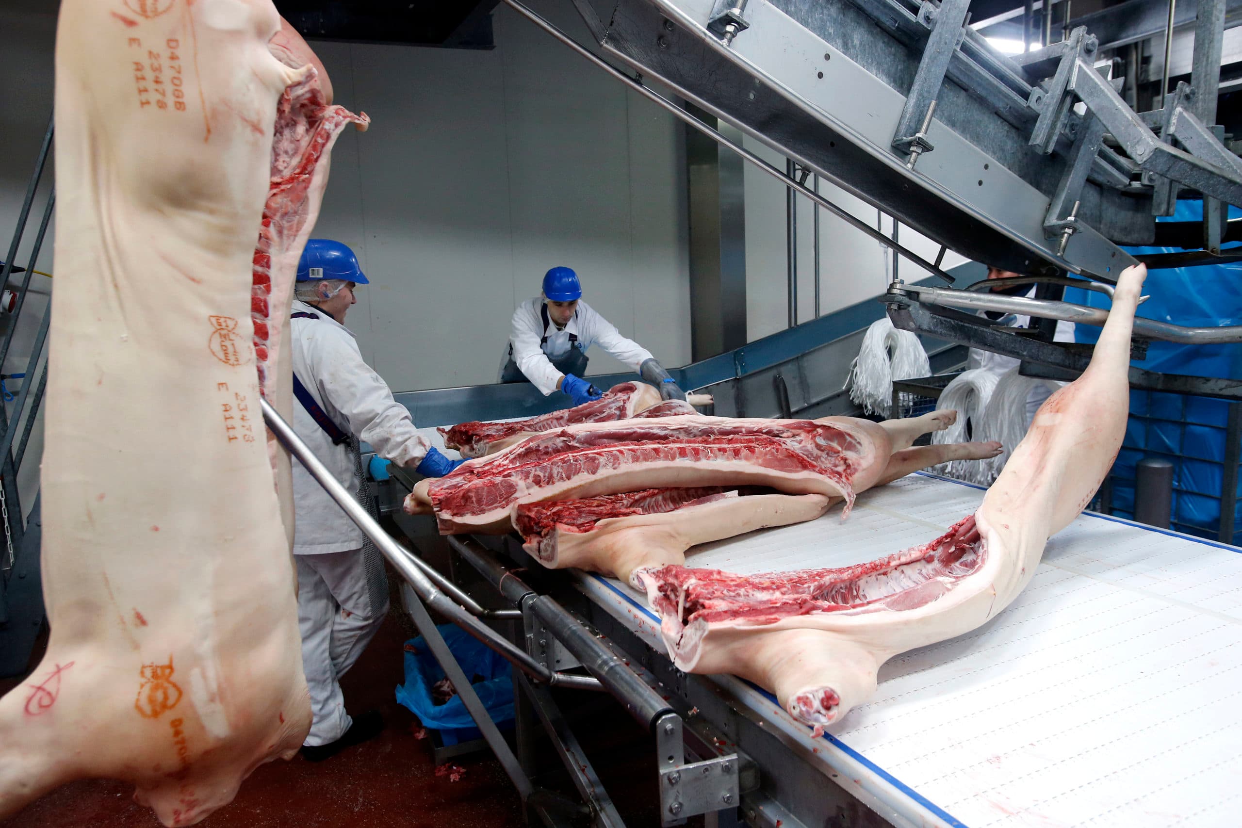 Varkensvlees wordt klaargemaakt voor export. Rusland was vooral afnemer van de vettere delen van het varken.