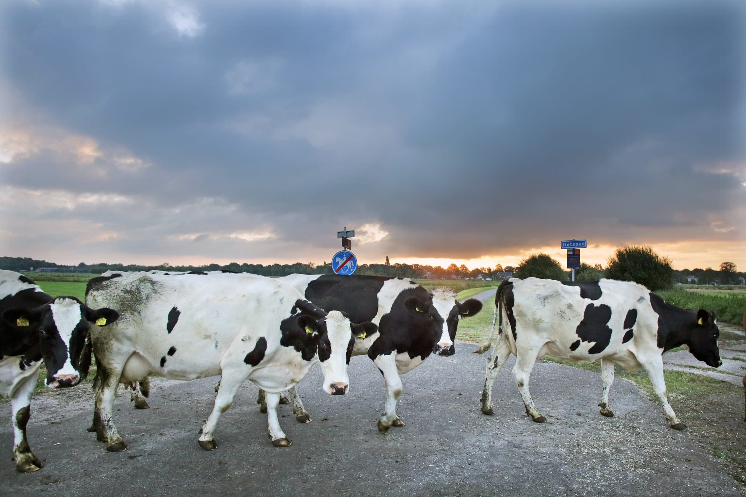 Foto: Ton Kastermans Fotografie