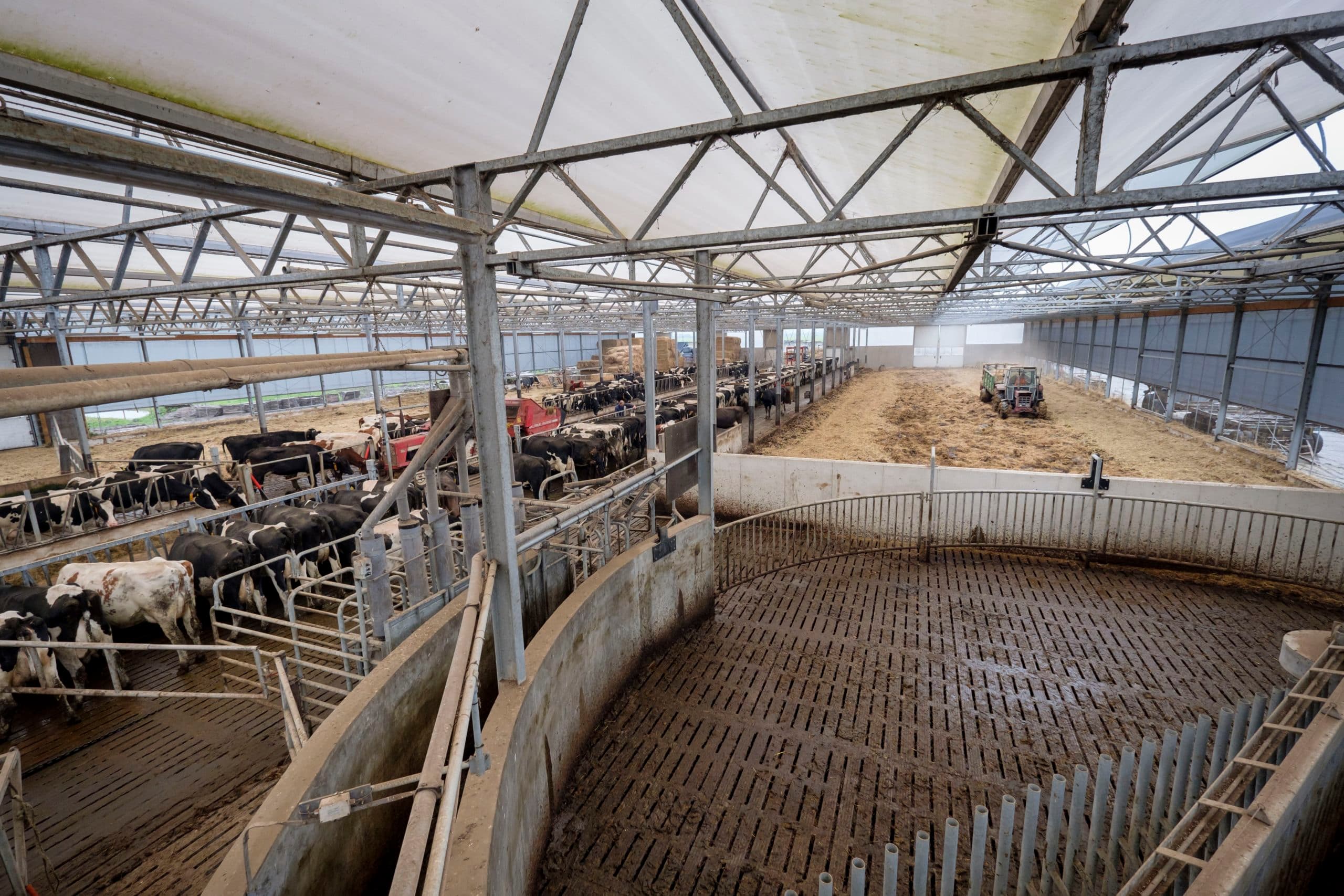 (c) Roel Dijkstra / Foto: Joep van der Pal    Melkveebedrijf De Goeij Reeuwijk