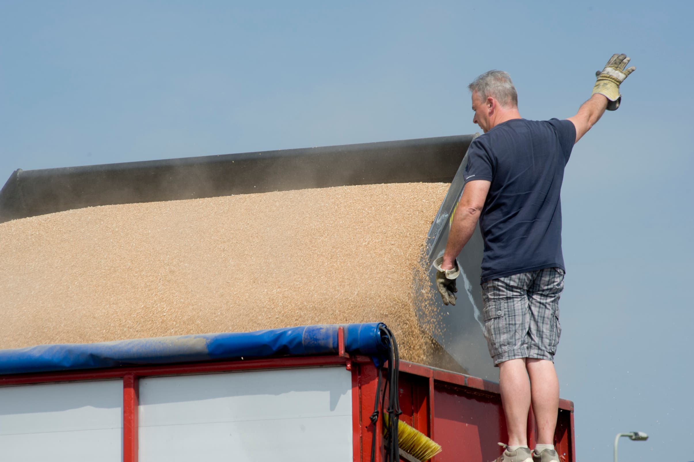 Foto: Twan Wiersmans