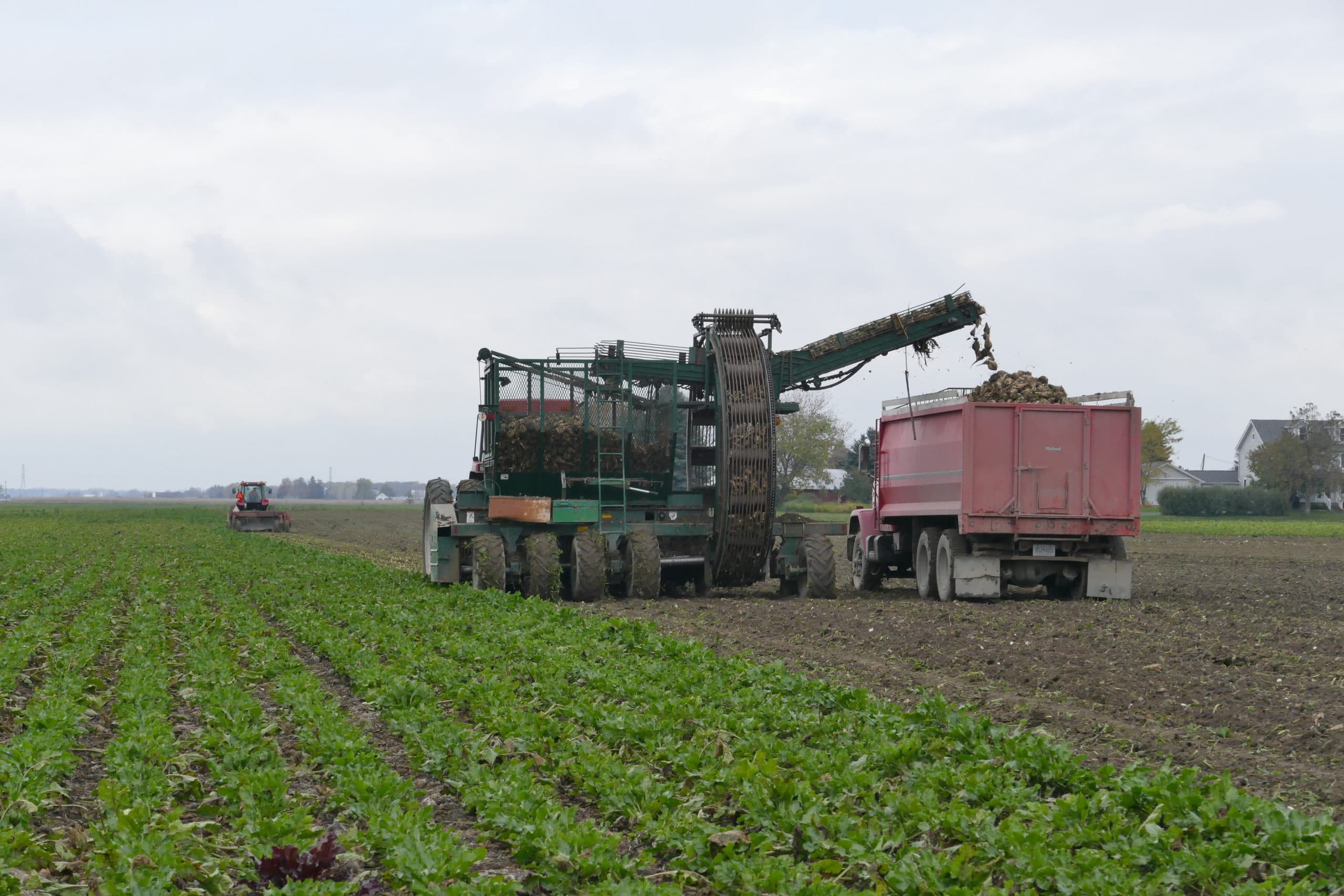 Foto: Martin Smits