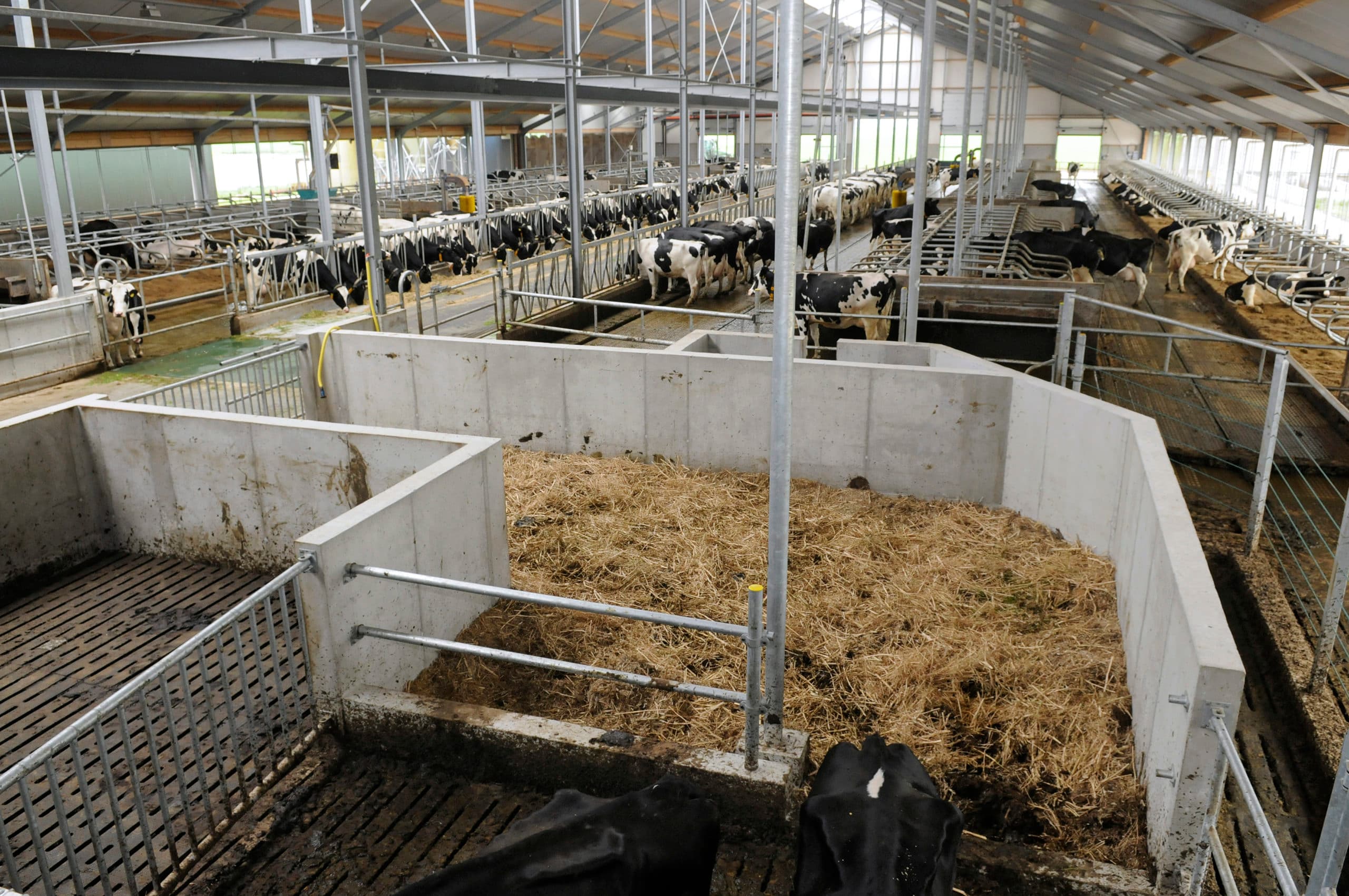 Foto: Penn Communicatie