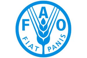Food and Agriculture Organization of the United Nations (FAO))