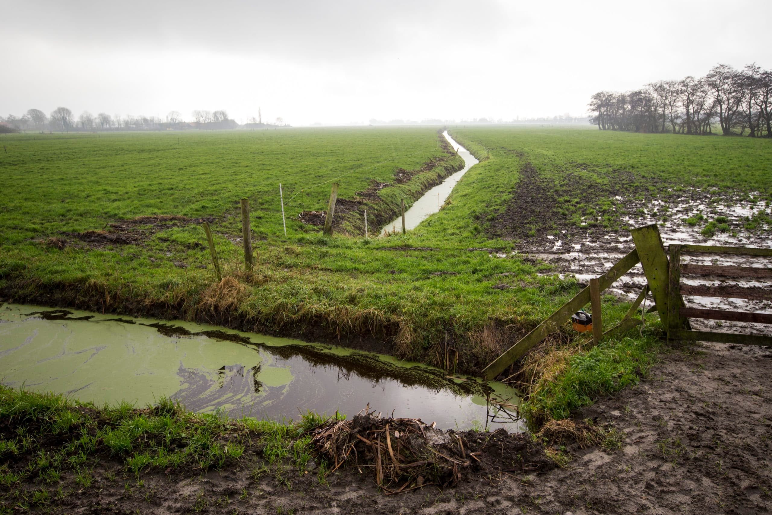 Foto: Anne van der Woude