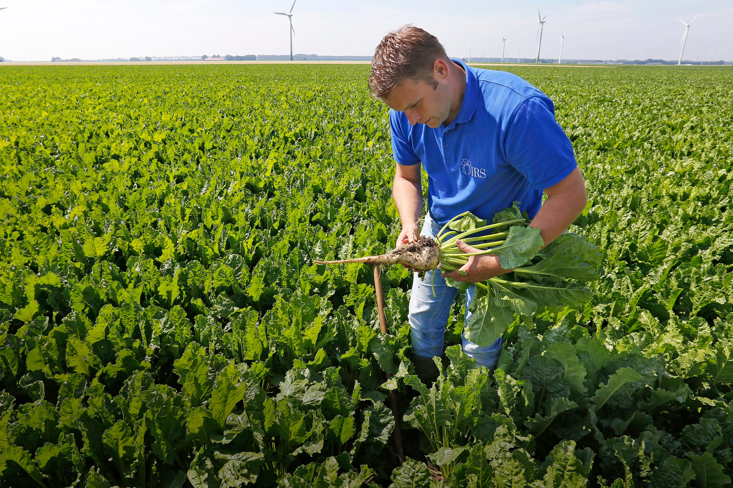Foto: Ton Kastermans