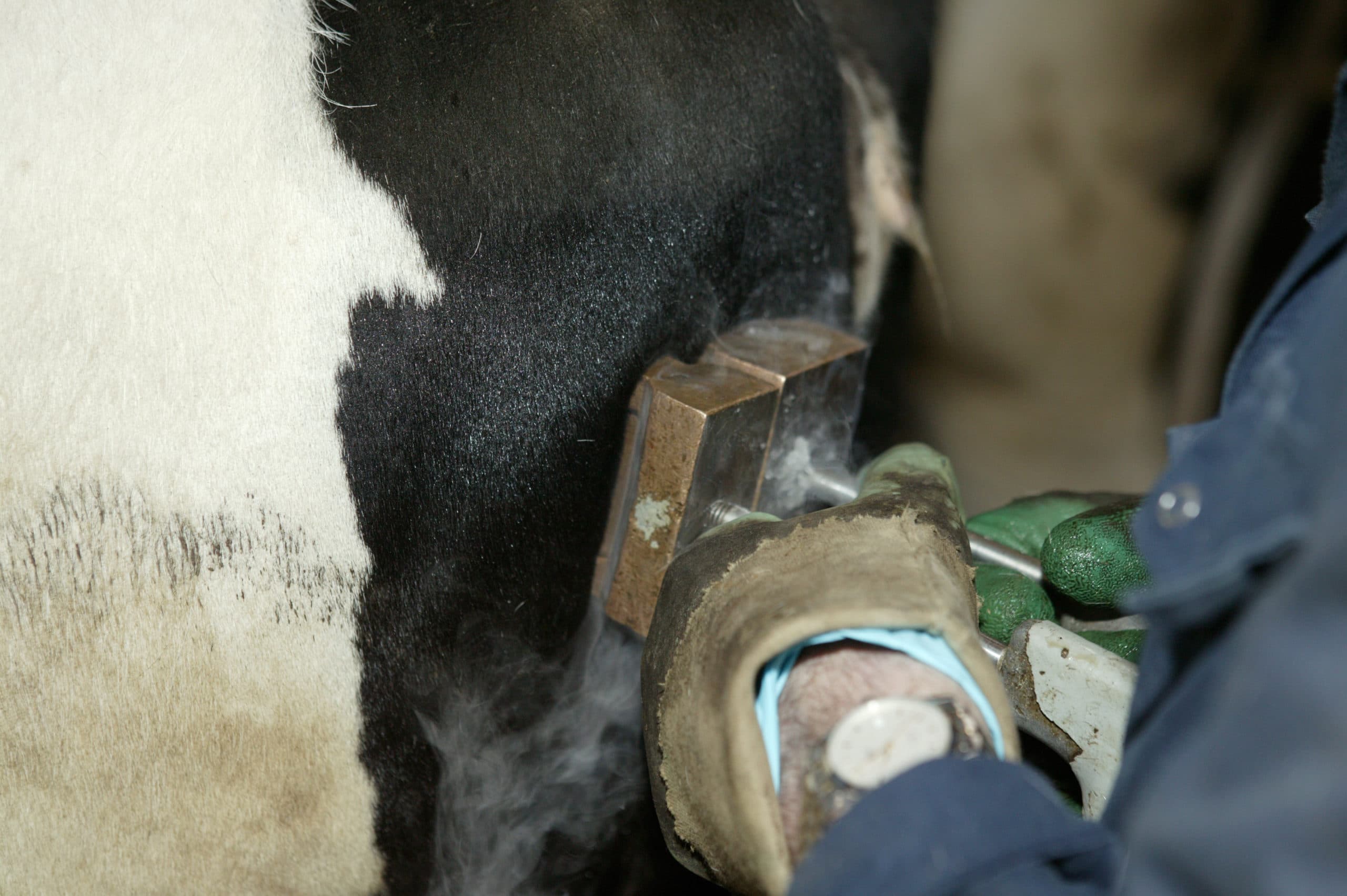 Foto: Jan Willem Schouten